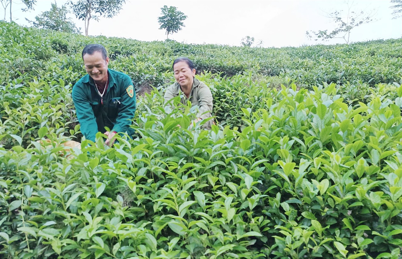 Ngành trồng trọt đạt 1.828 tỷ đồng. Nn2.jpg
