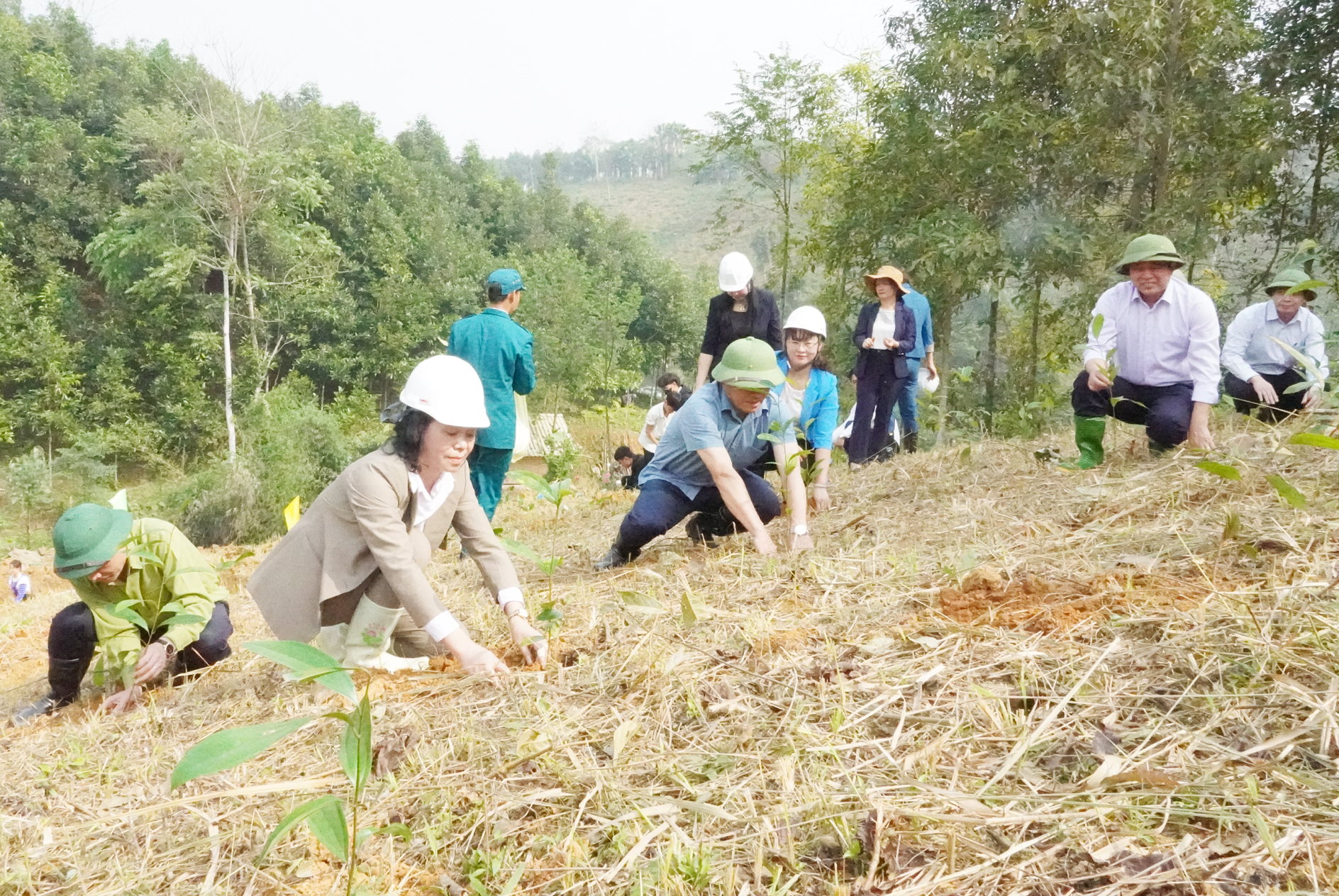 Lãnh đạo các cơ quan, đơn vị của tỉnh tham gia trồng rừng kinh tế trong buổi phát động xây dựng nông thôn mới của huyện Văn Bàn. HT1.jpg