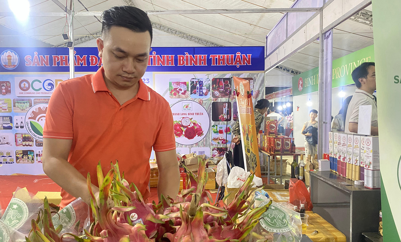 Sản phẩm thanh long Bình Thuận trưng bày tại hội chợ. C9.jpg
