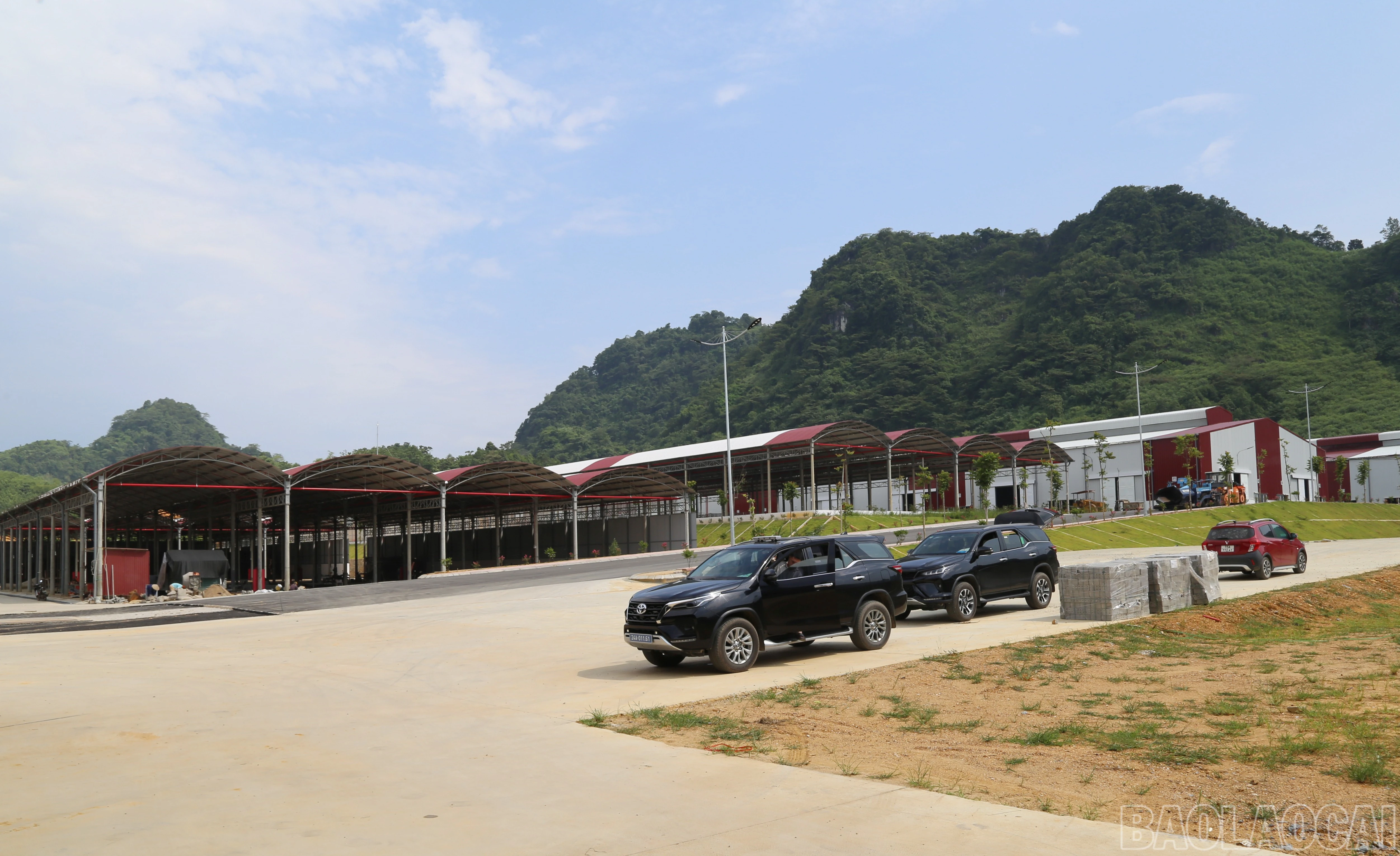 baolaocai-br_4.jpg