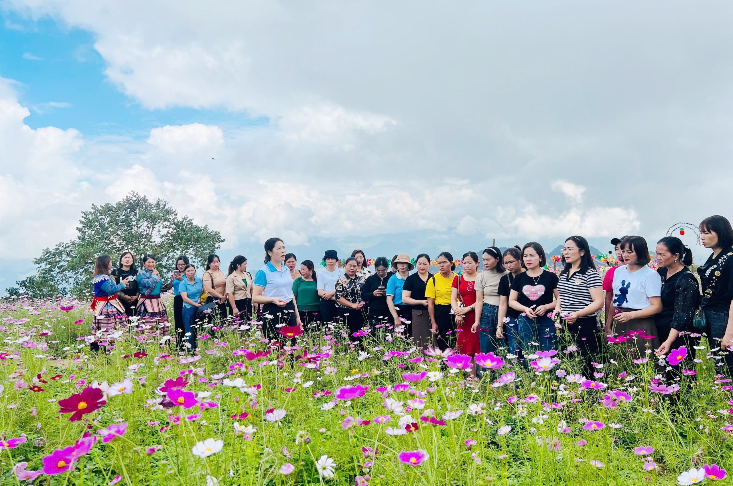 Hội phụ nữ các cấp căn cứ vào kết quả rà soát mô hình hiện có, xác định nhu cầu, lựa chọn mô hình phù hợp để đẩy nhanh tiến độ triển khai ứng dụng khoa học, công nghệ và đảm bảo tính hiệu quả, bền vững của mô hình. 1-3425.jpg