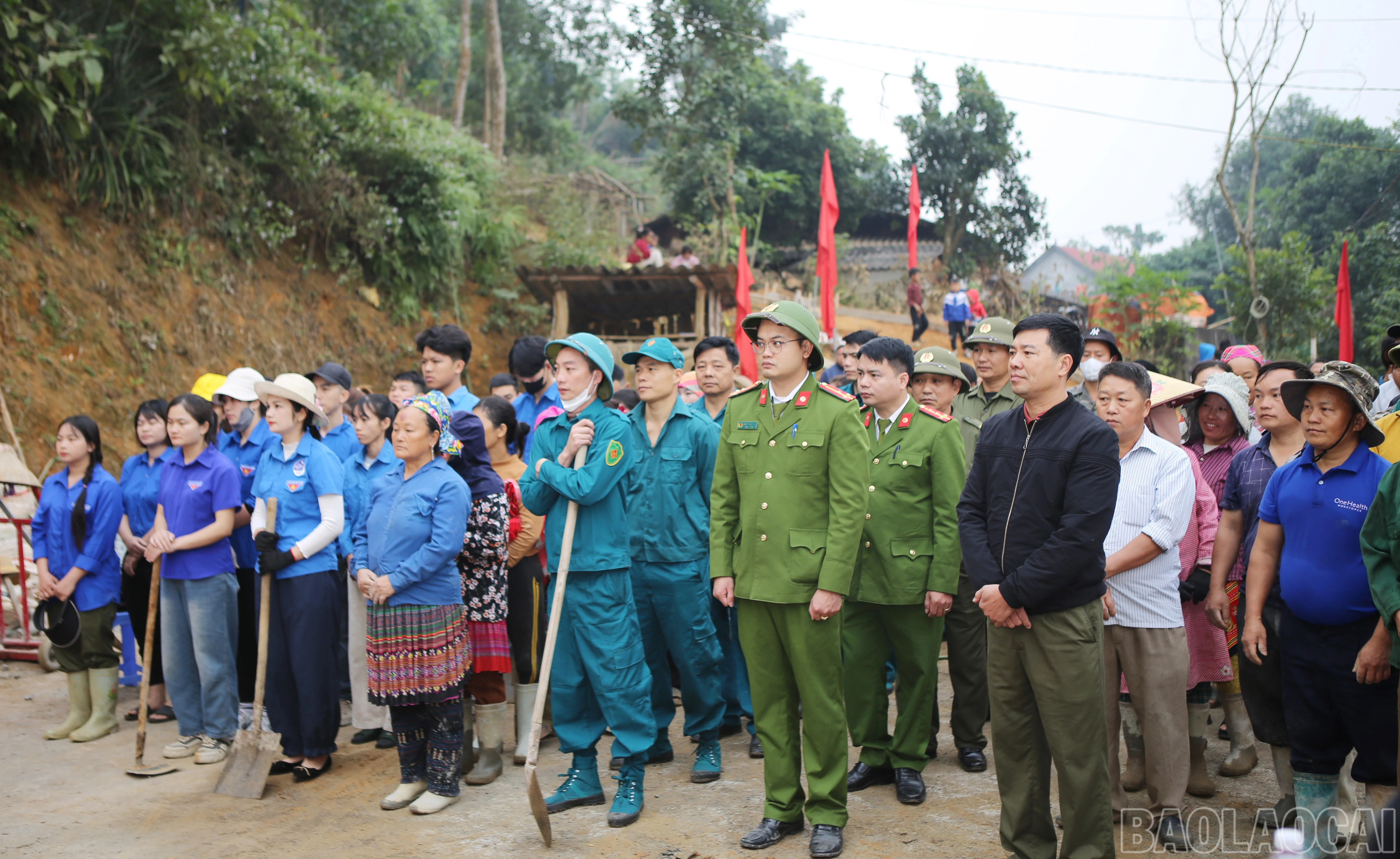 baolaocai-br_ph-1.jpg
