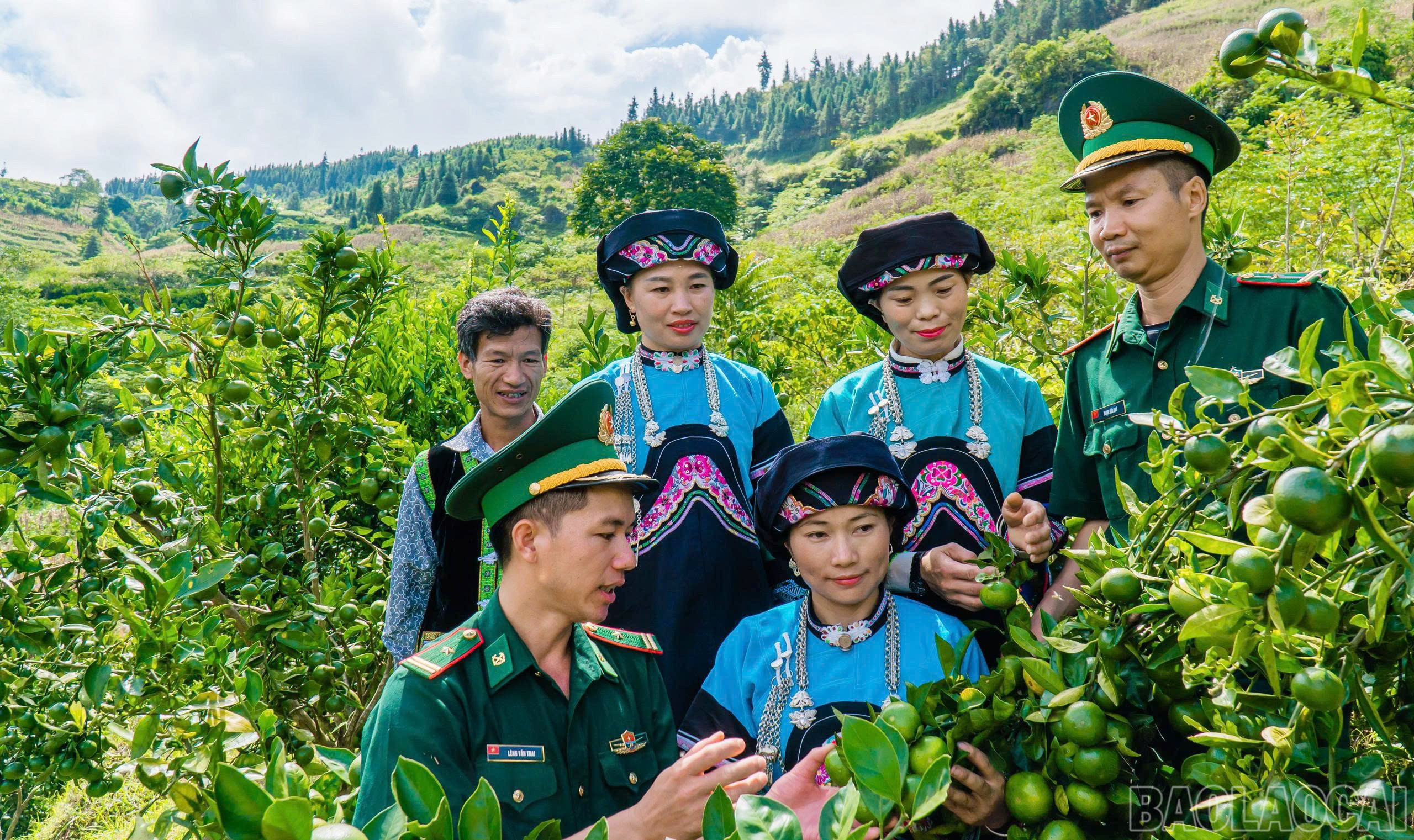 Hỗ trợ phụ nữ dân tộc thiểu số vùng cao, biên giới phát triển sinh kế, ổn định cuộc sống. baolaocai-br_8.jpg
