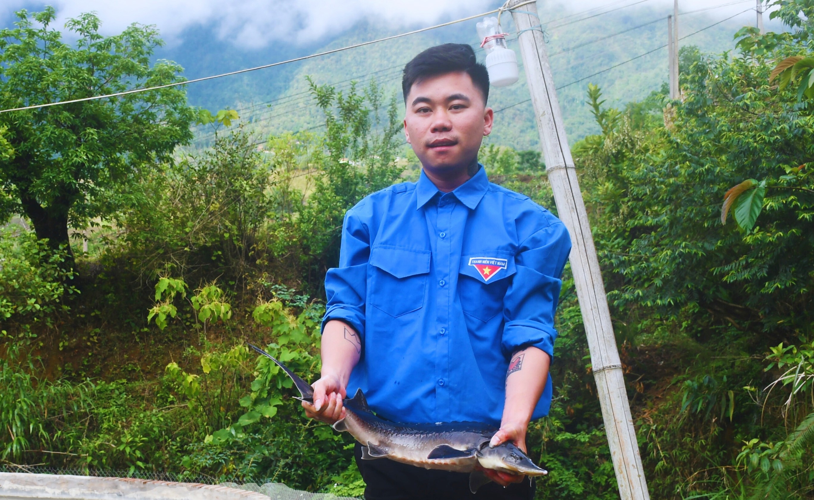Anh Lý Láo Tả thu hàng tỷ đồng mỗi năm nhờ nuôi cá nước lạnh. 1-2046.jpg