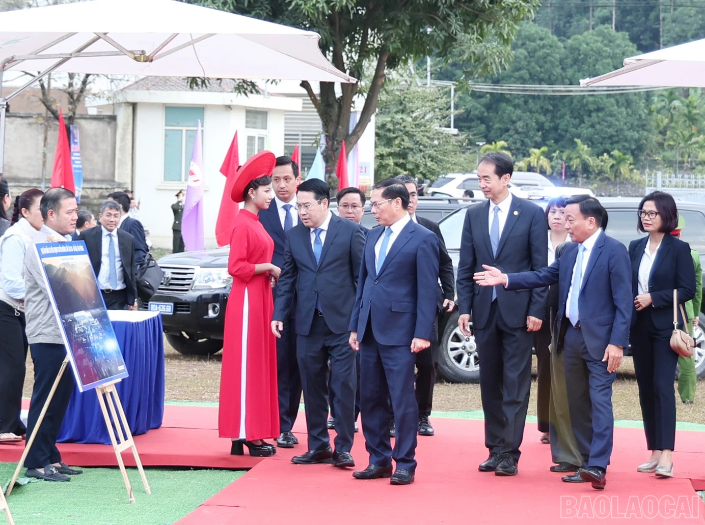 baolaocai-br_26.jpg