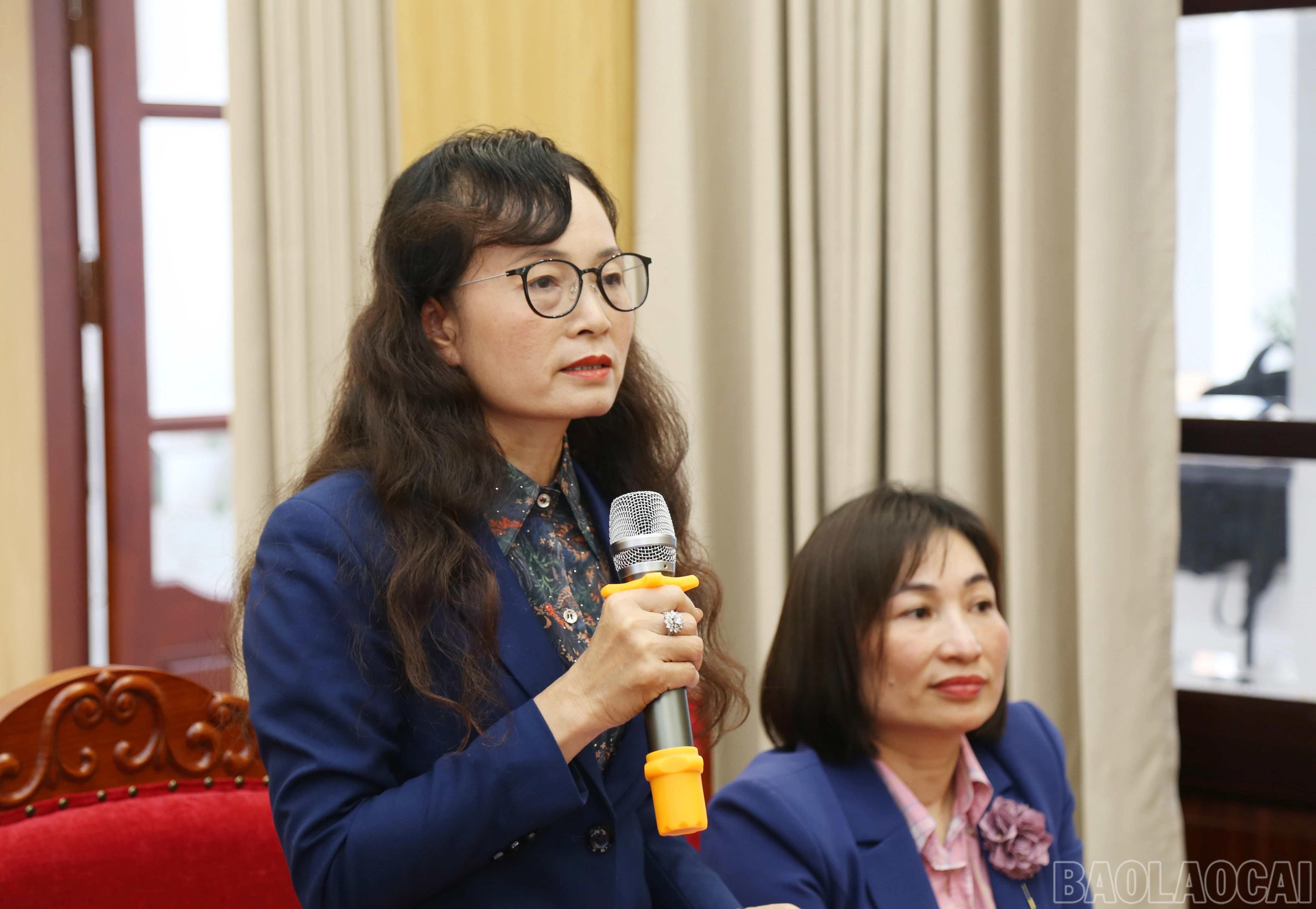 baolaocai-br_a-3.jpg