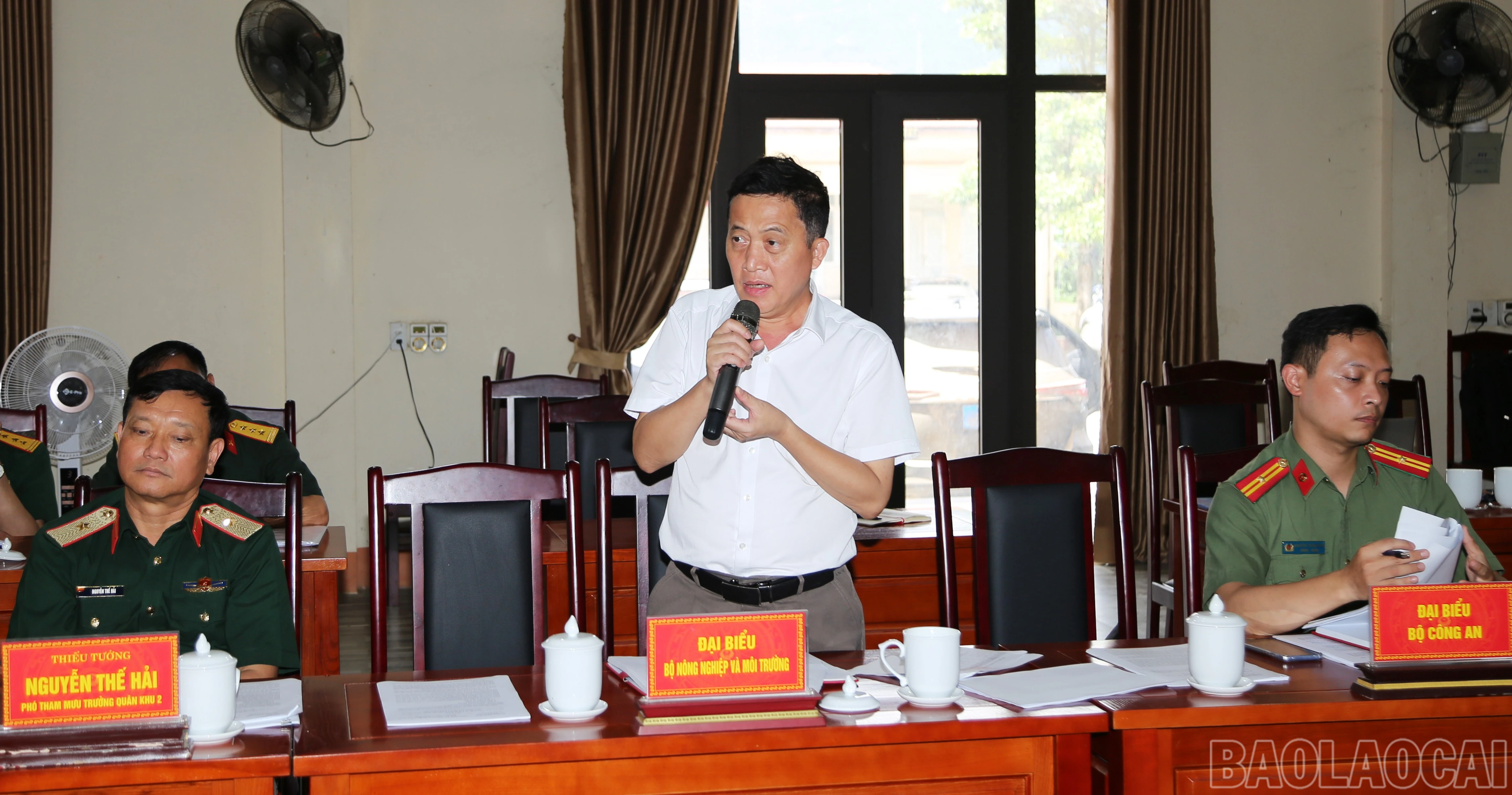 baolaocai-br_a-3.jpg