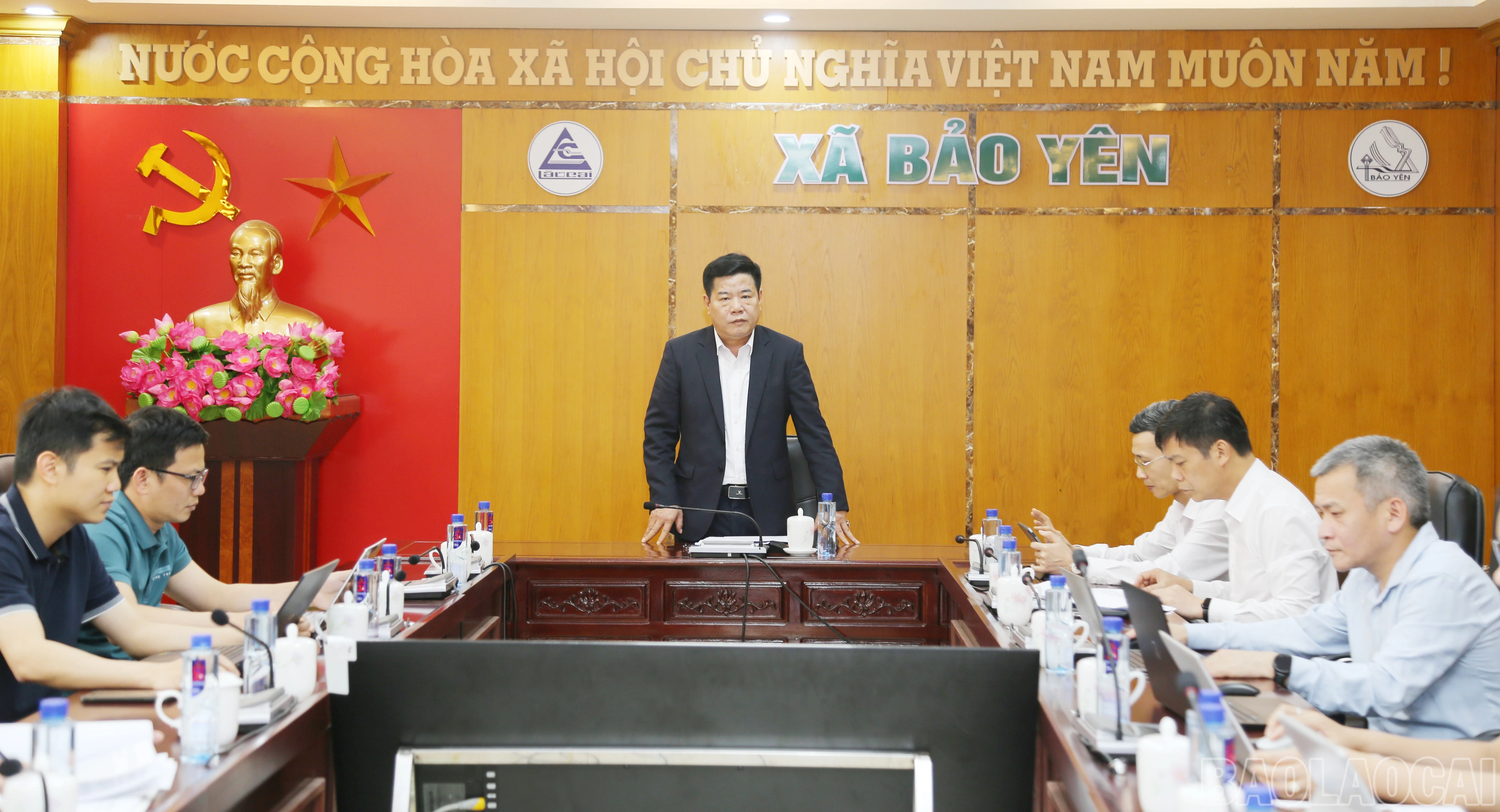 baolaocai-br_3.jpg
