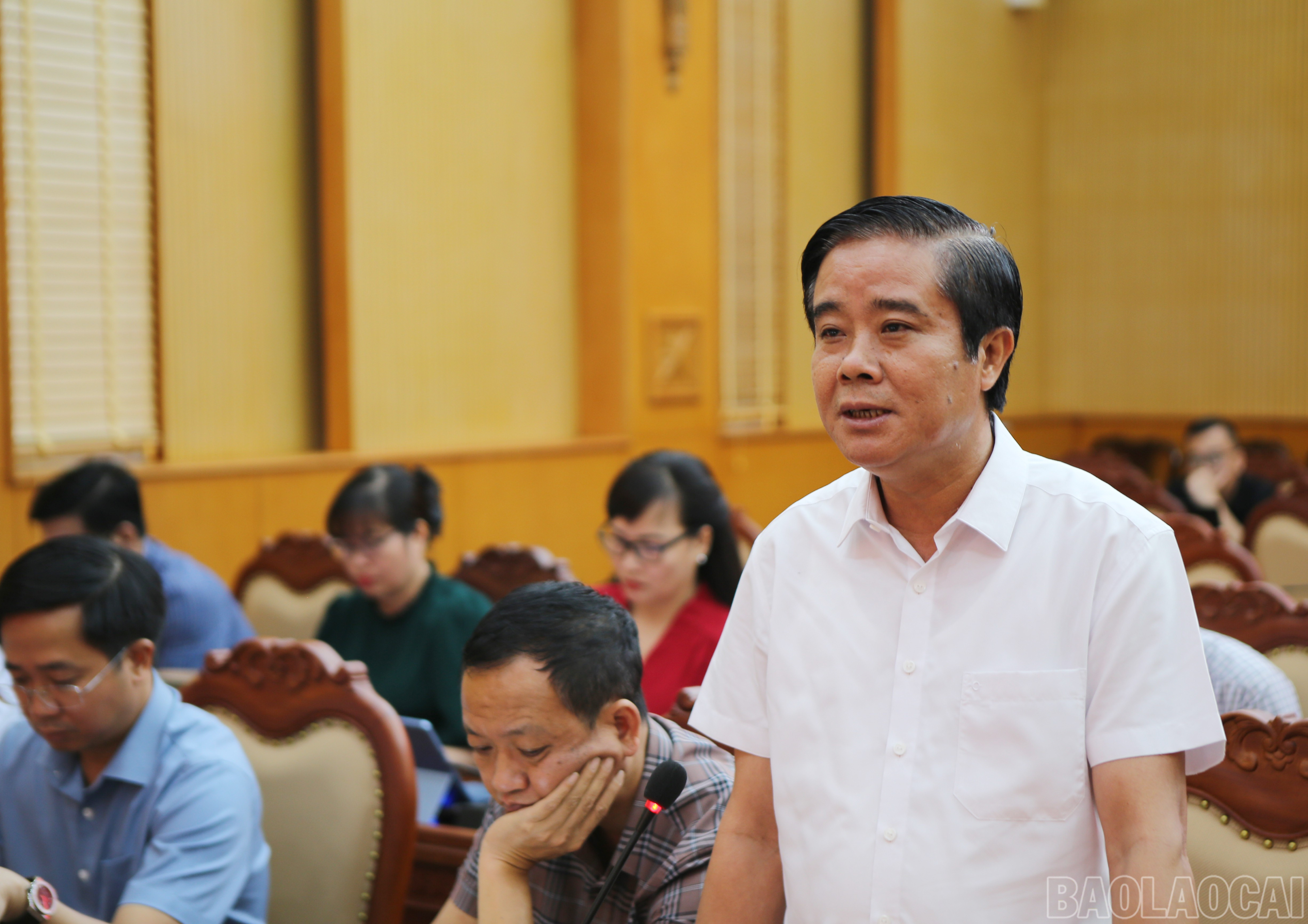Các đại biểu nêu ý kiến. baolaocai-br_8.jpg