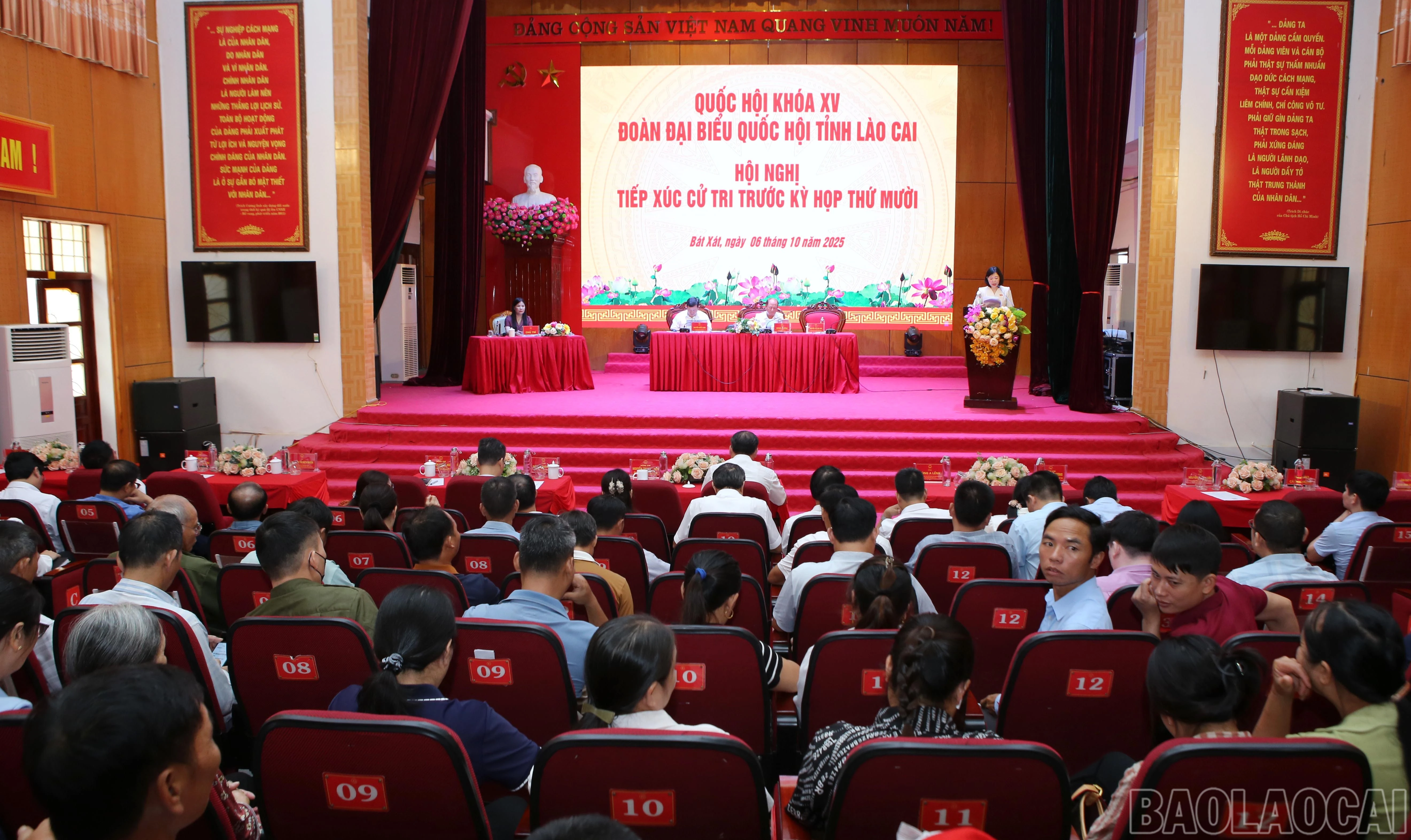 baolaocai-br_1-8474.jpg