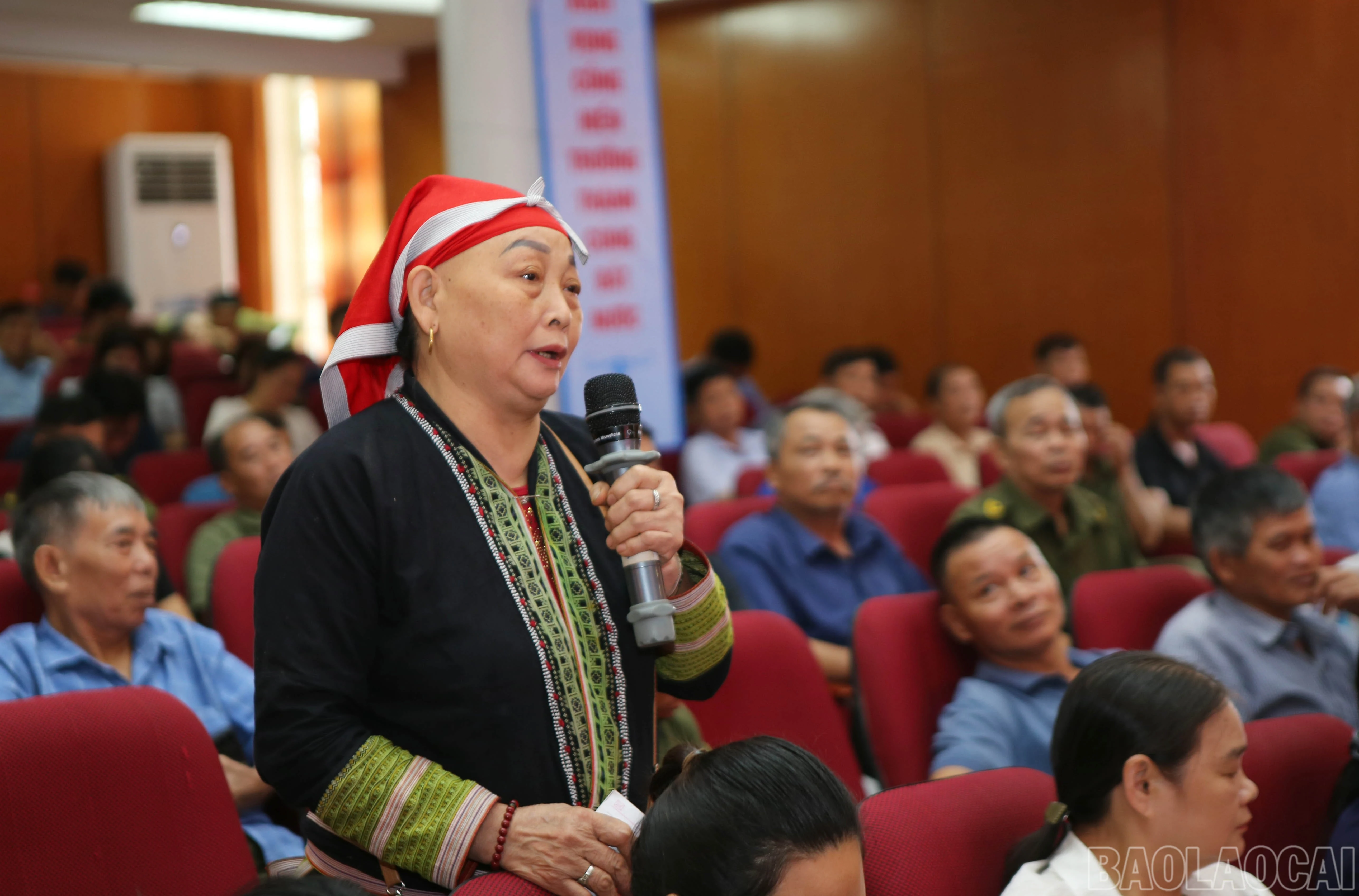 baolaocai-br_8-3115.jpg