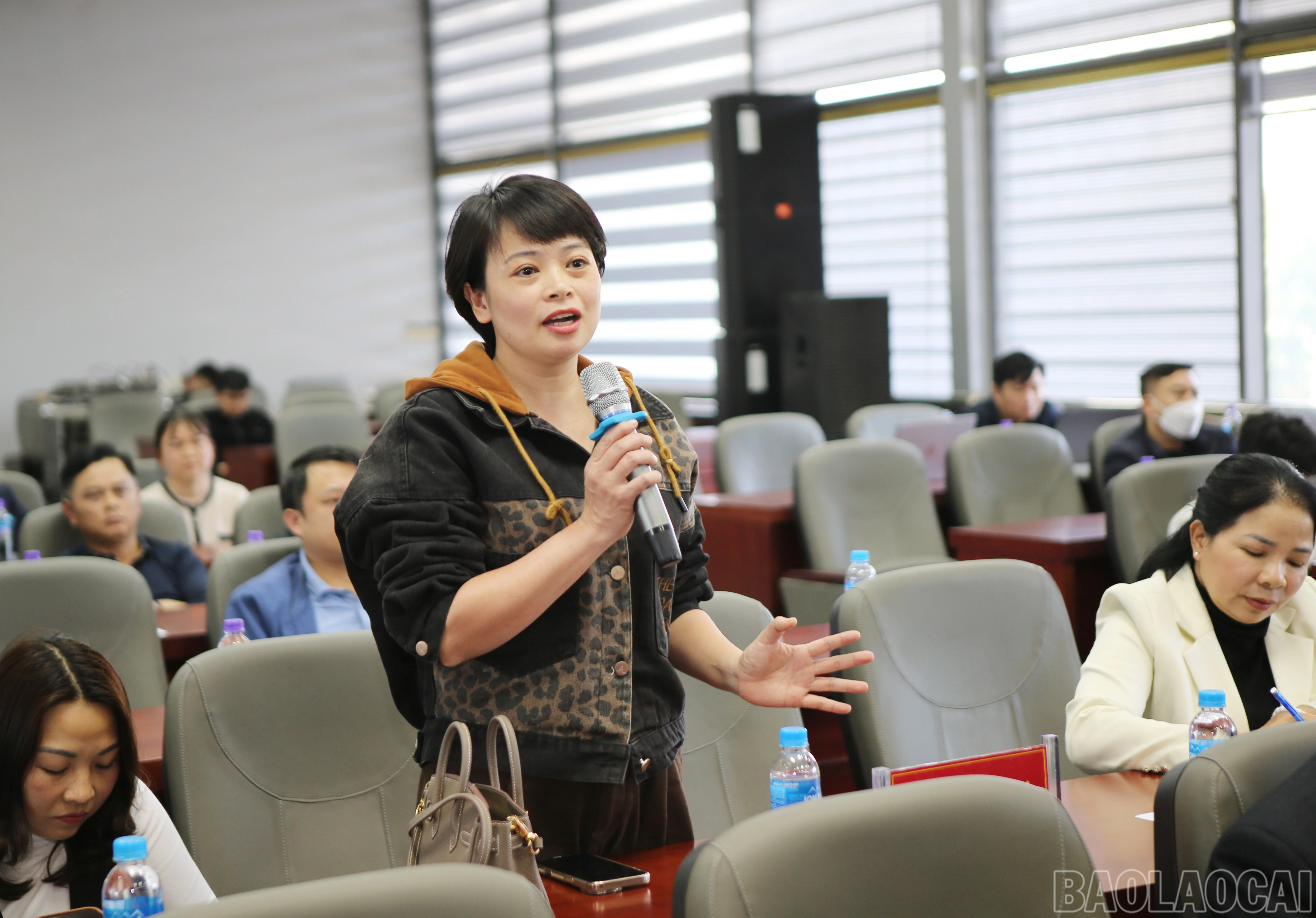 baolaocai-br_ck-3.jpg