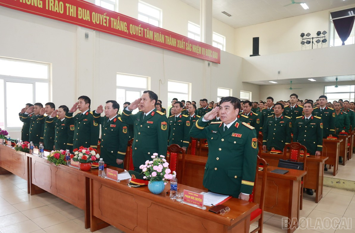 baolaocai-br_6.jpg