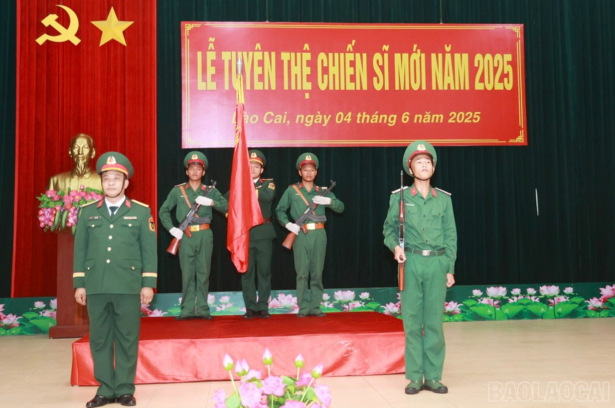 baolaocai-br_2.jpg