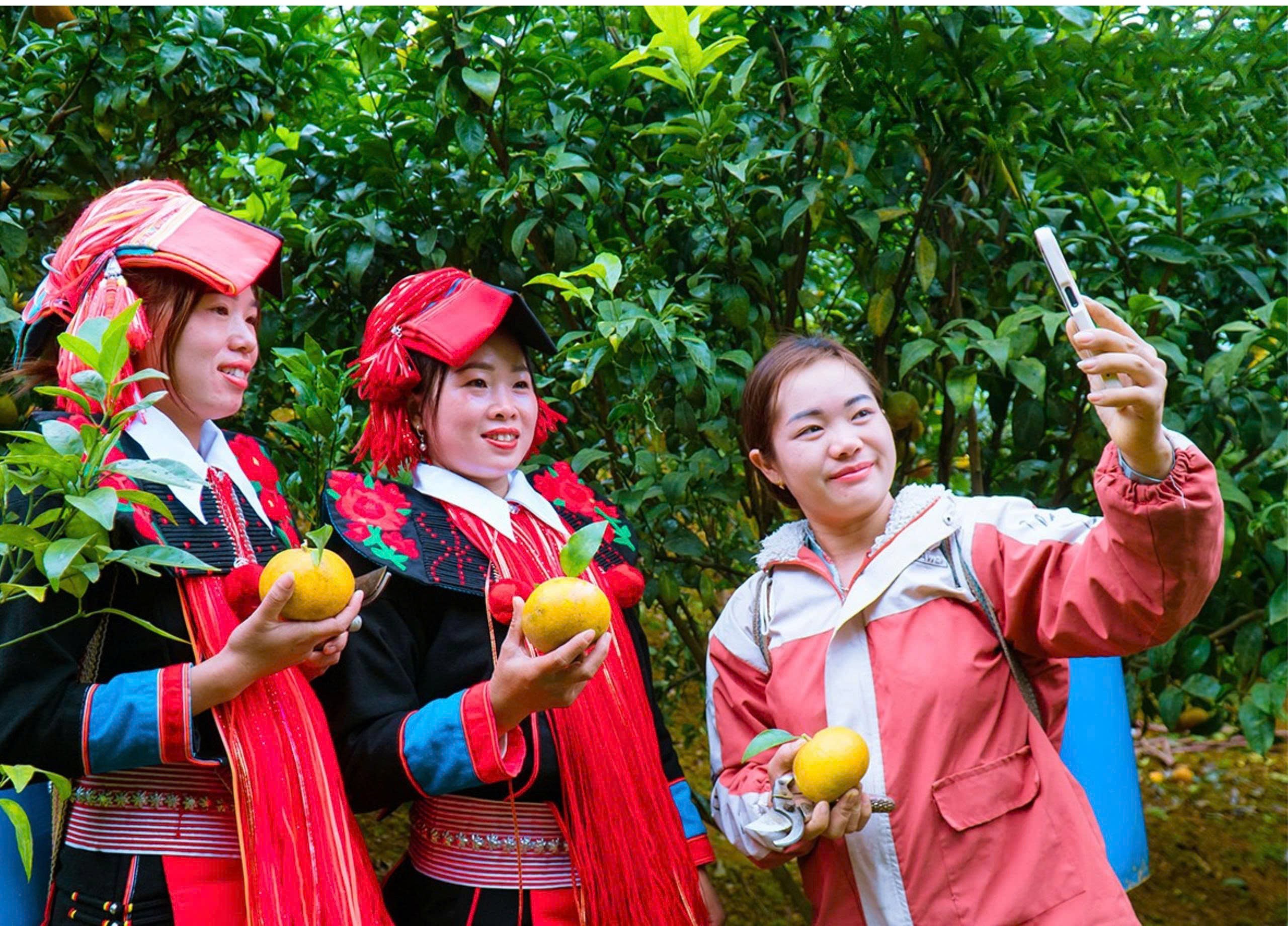 Đồng hành với phụ nữ trong việc tham gia hoạt động thương mại điện tử để mở rộng thị trường tiêu thụ sản phẩm, góp phần nâng cao thu nhập, cải thiện cuộc sống. z6707665548739-2b028cfd6f5bd4a7b33ef27a535461e3.jpg