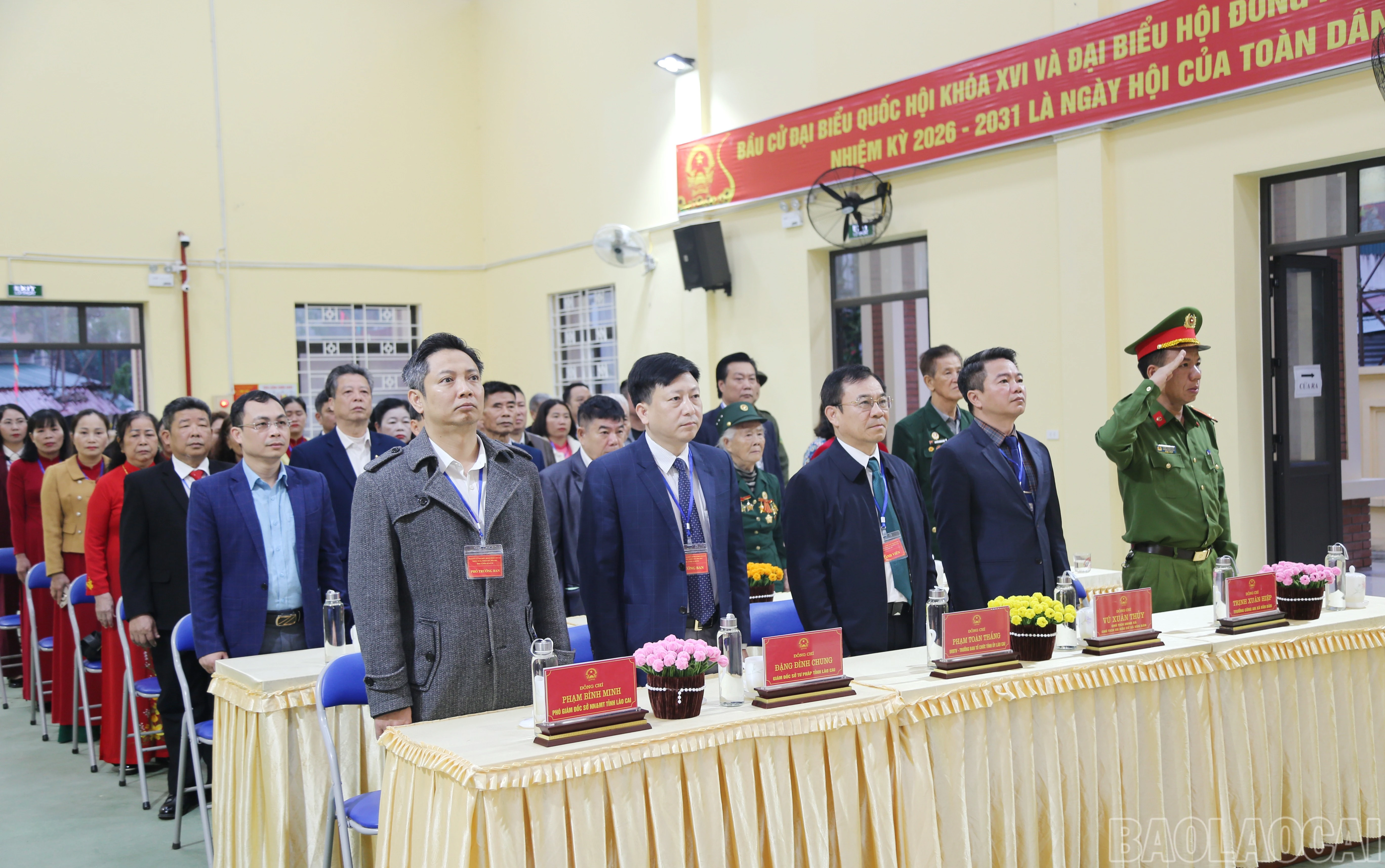 baolaocai-br_v-6.jpg