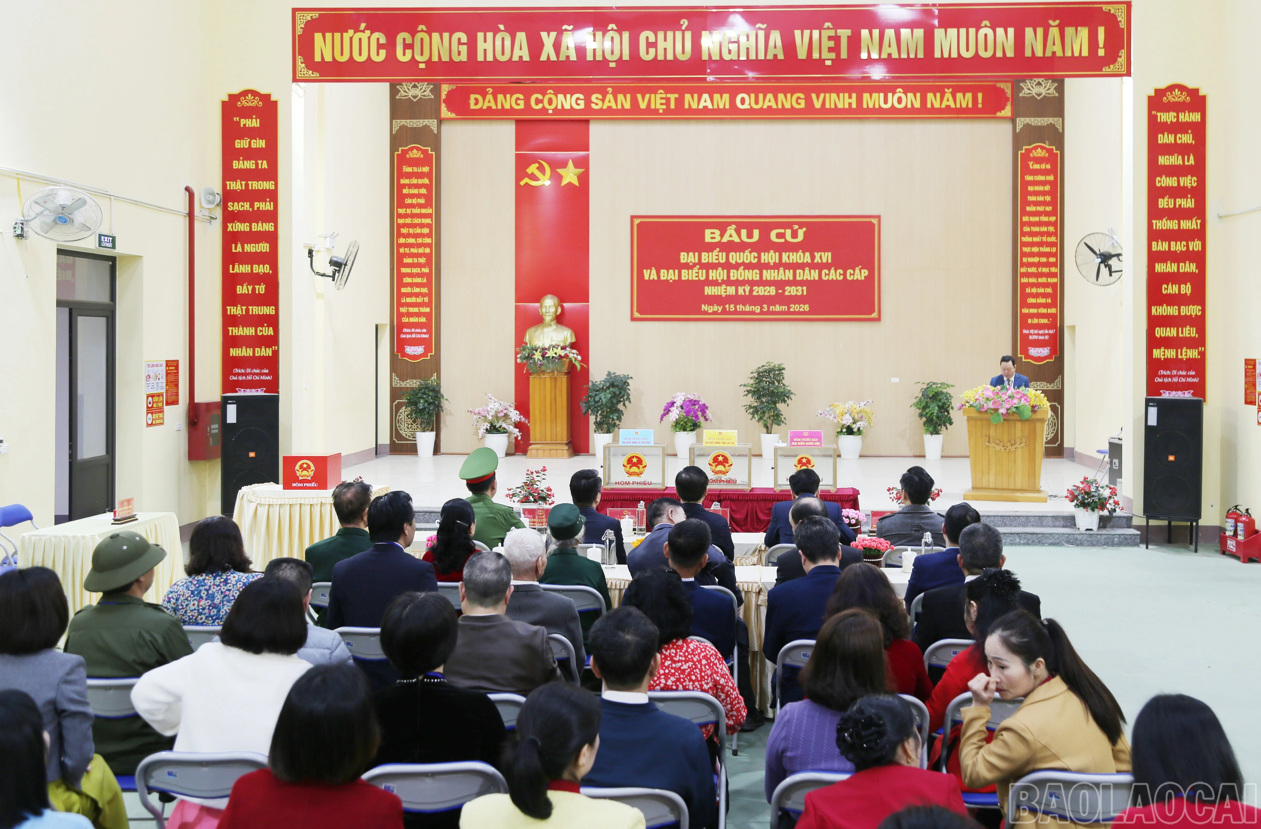 baolaocai-br_v-5.jpg
