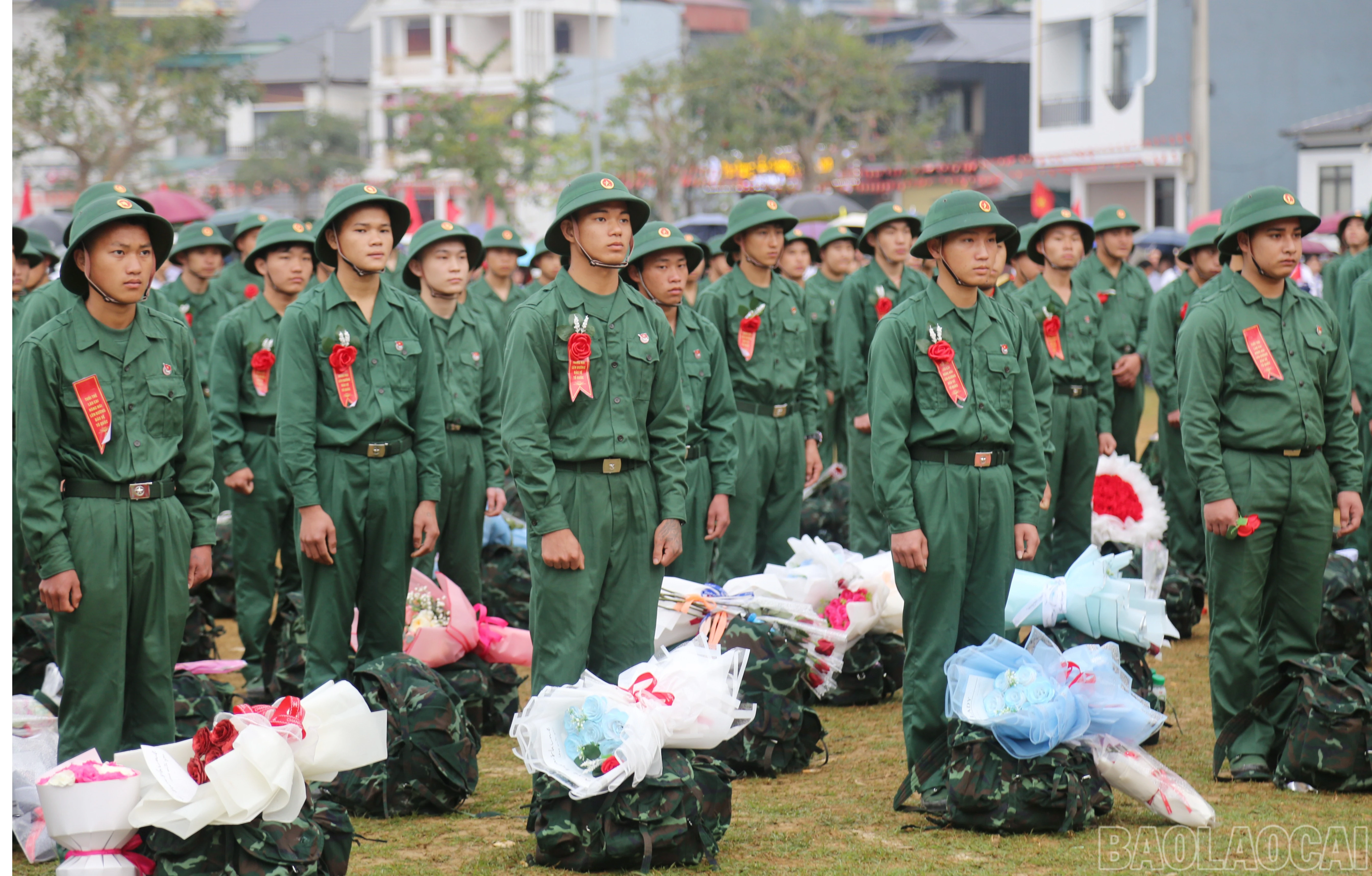 baolaocai-br_a-2.jpg