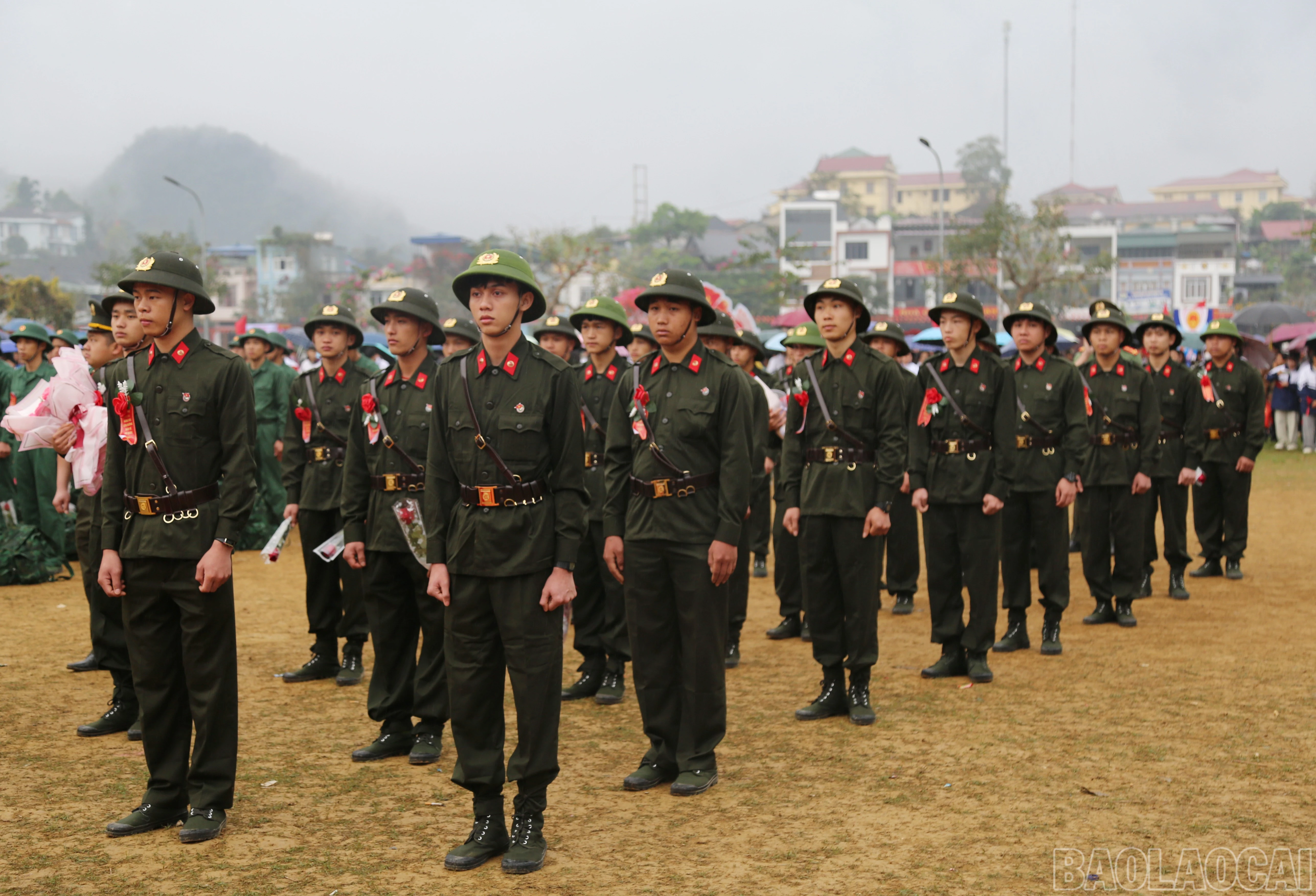 baolaocai-br_a-3.jpg