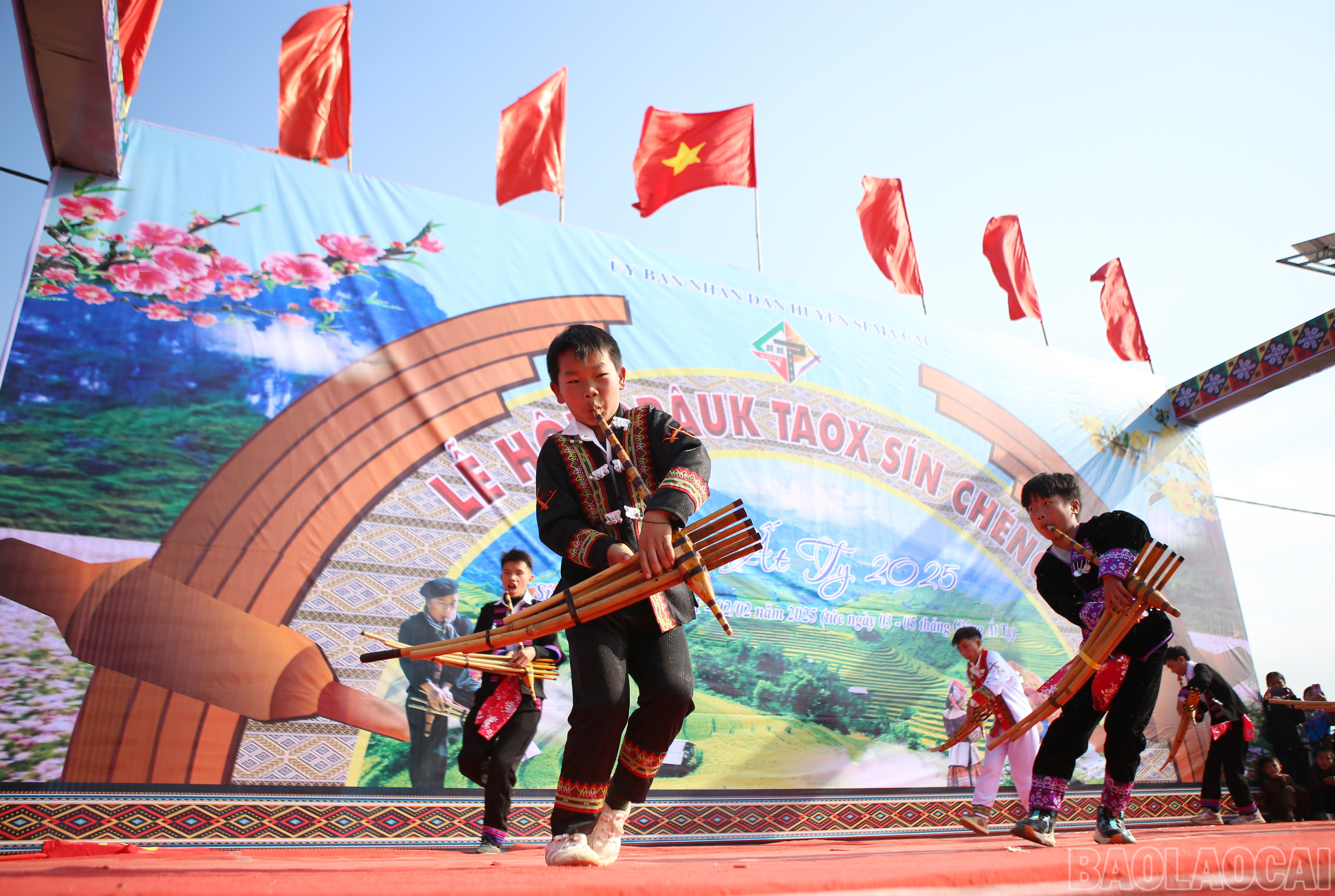 baolaocai-br_s-9.jpg