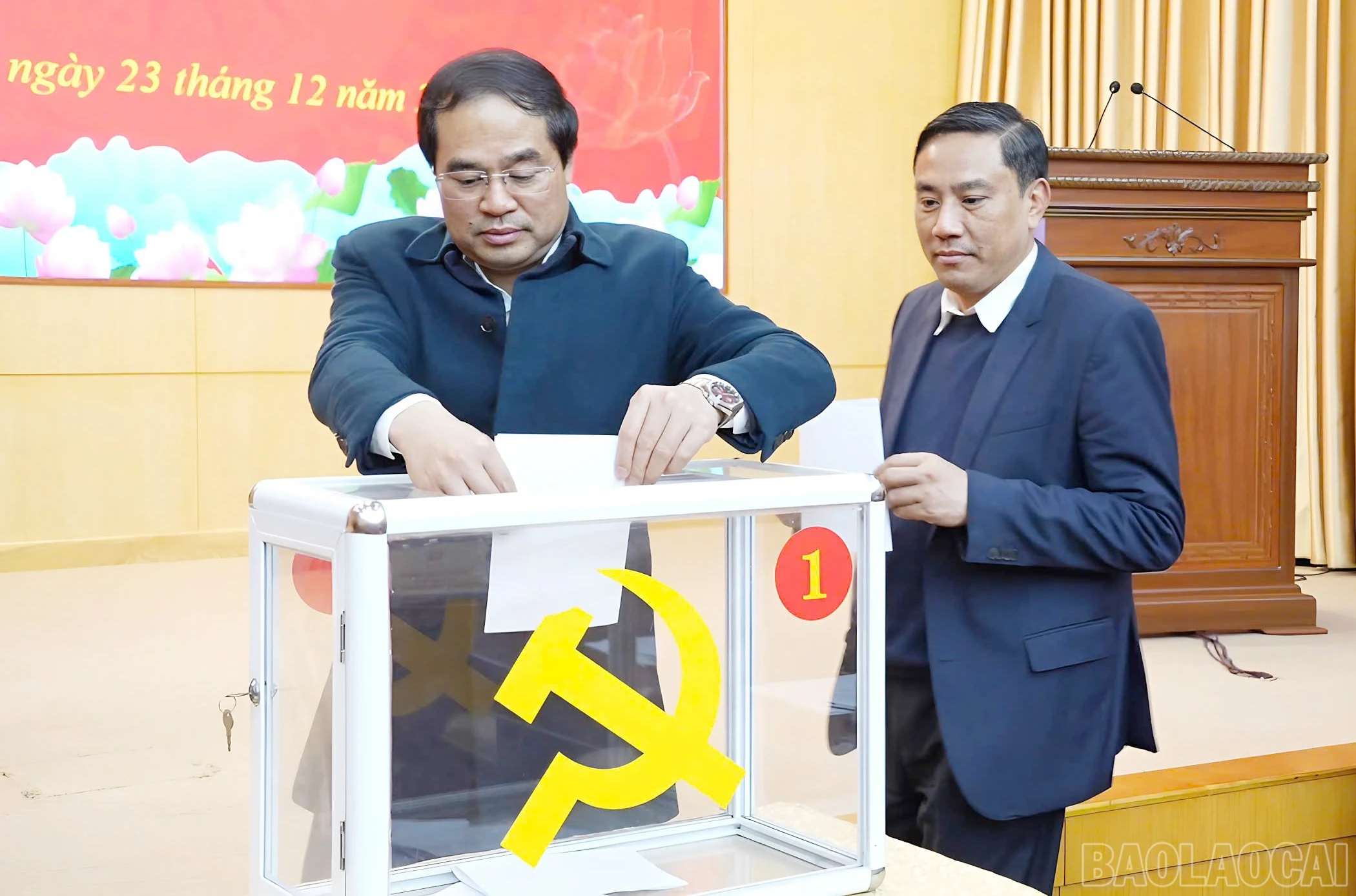 baolaocai-br_tu-4.jpg