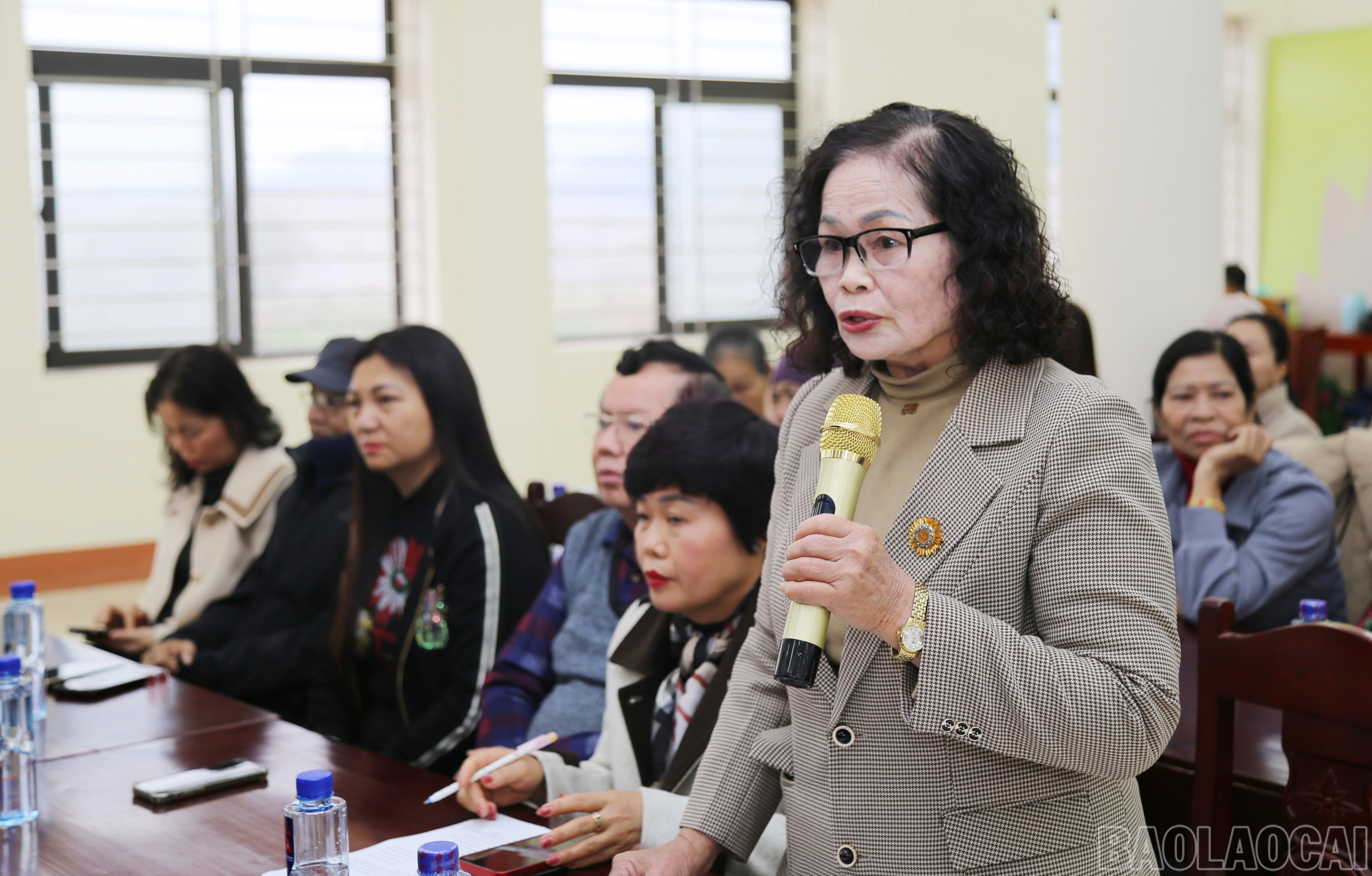 baolaocai-br_b-7.jpg