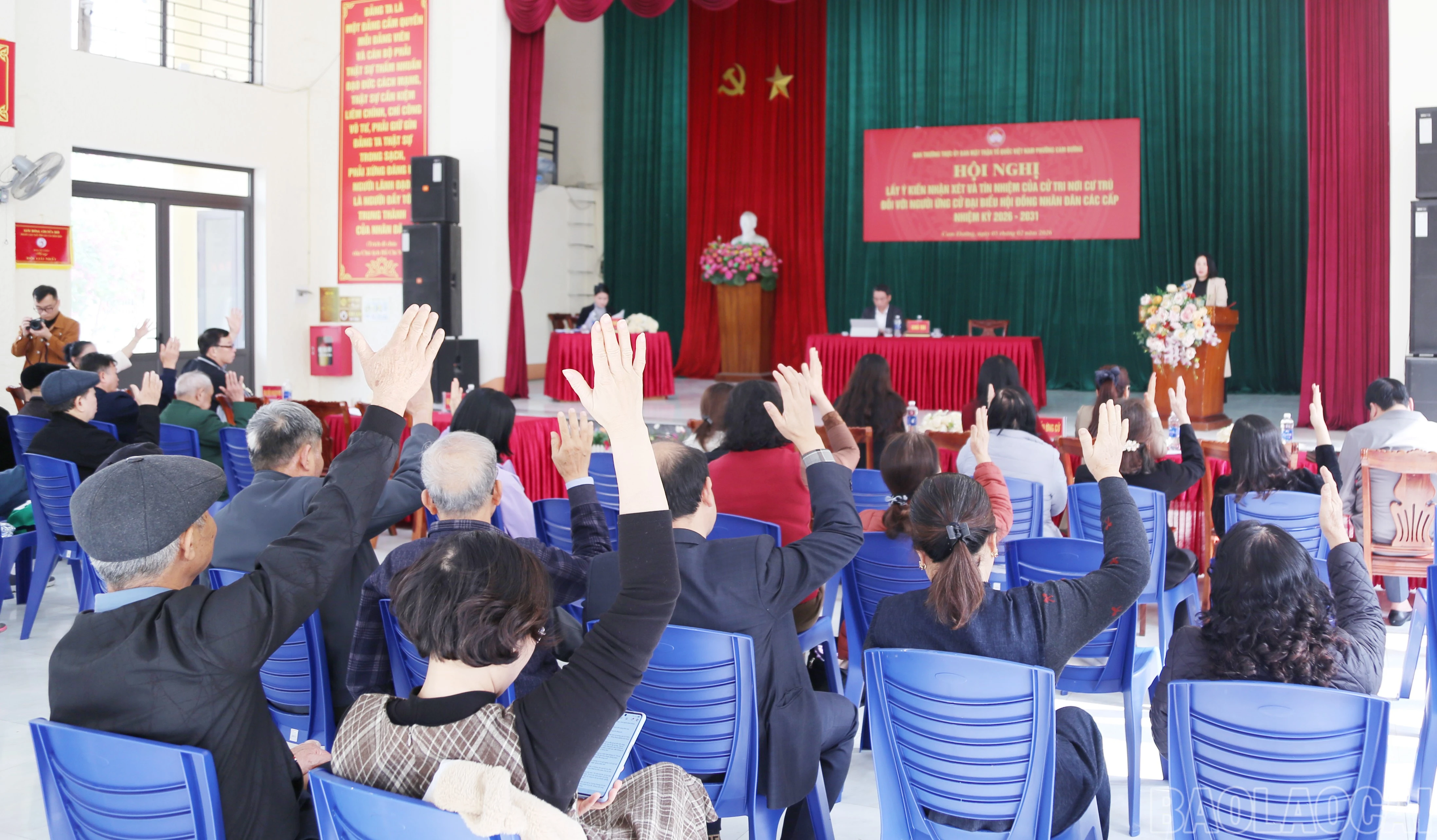 baolaocai-br_c-6.jpg