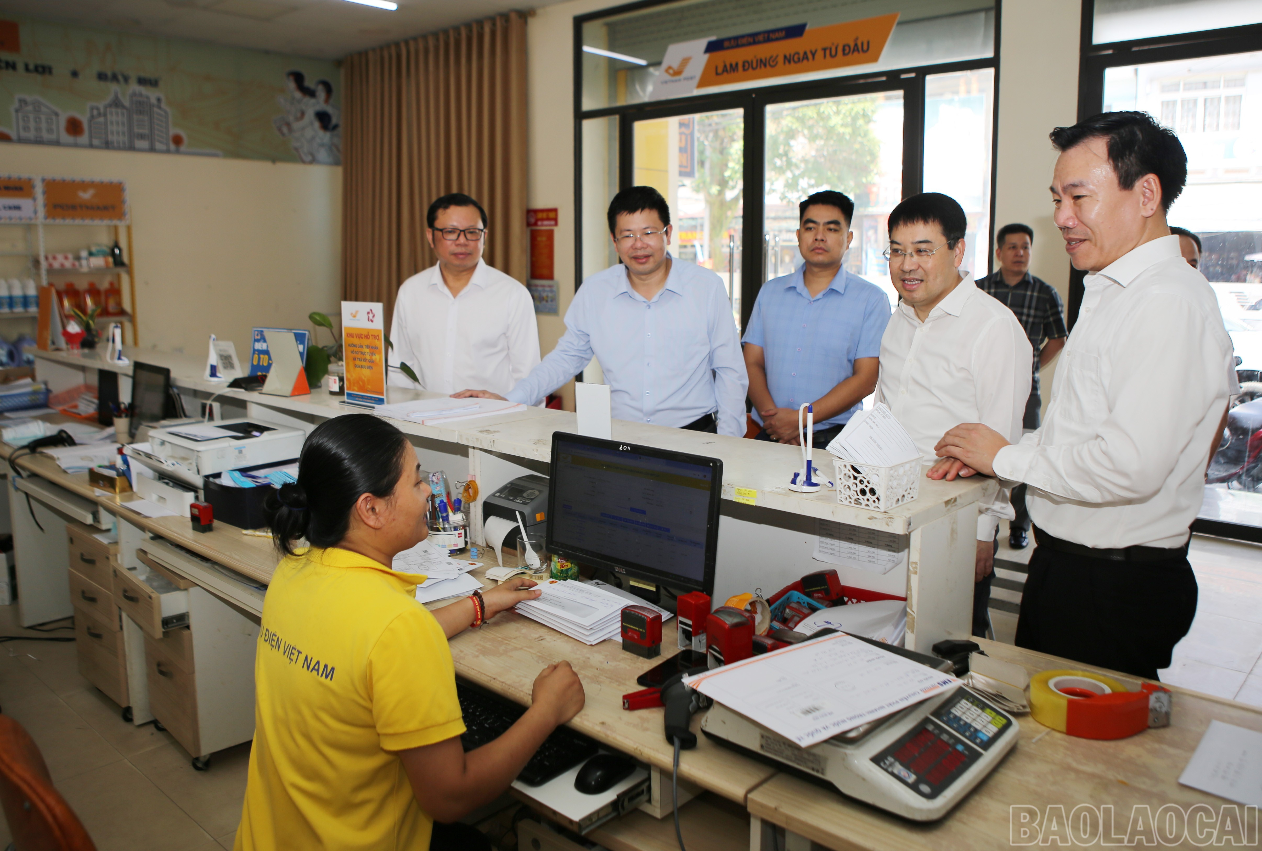 baolaocai-br_bt-1.jpg