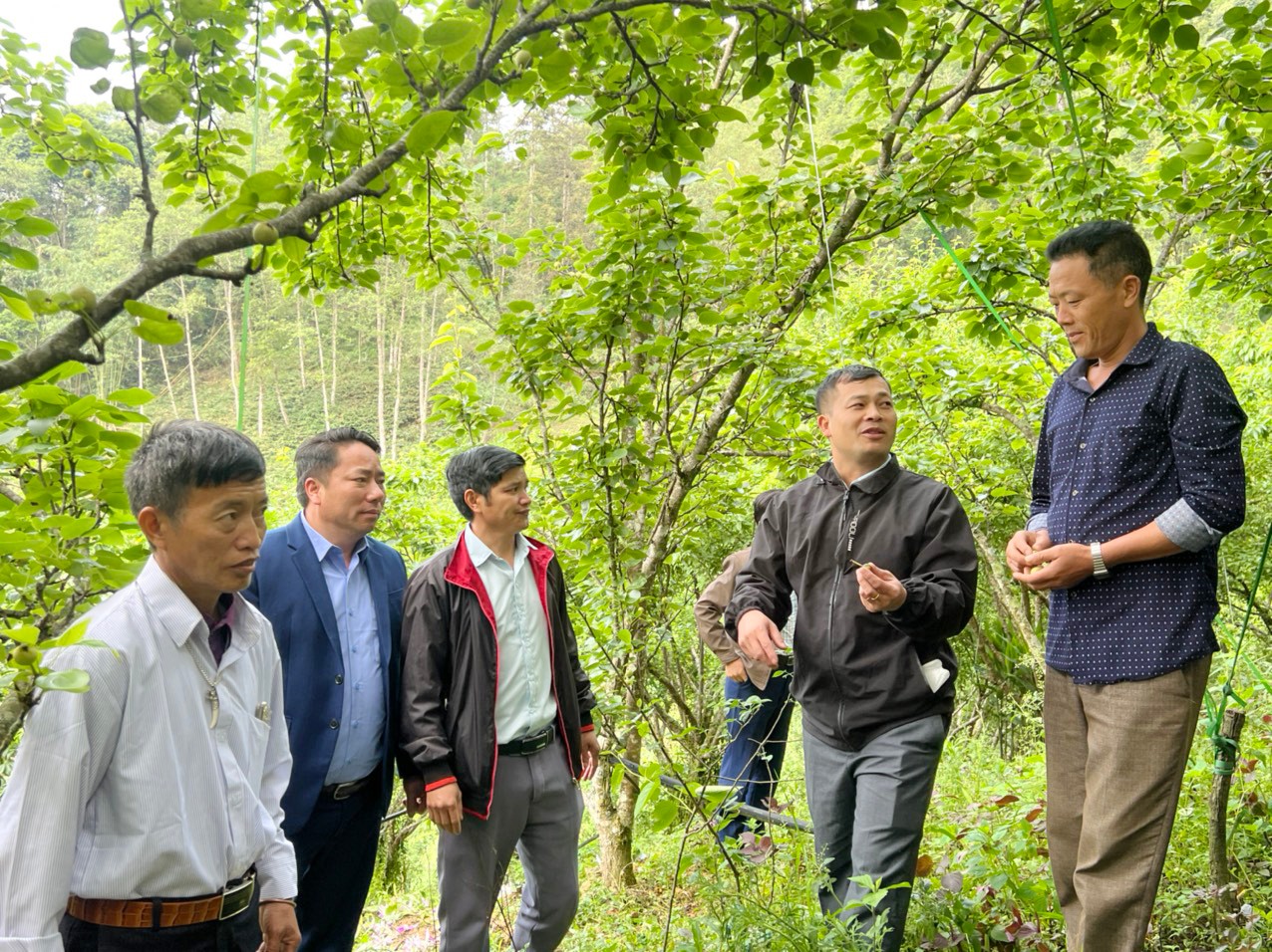Cán bộ Trung tâm Dịch vụ nông nghiệp huyện Si Ma Cai hướng dẫn người dân trồng, chăm sóc cây ăn quả ôn đới. si-4.jpg