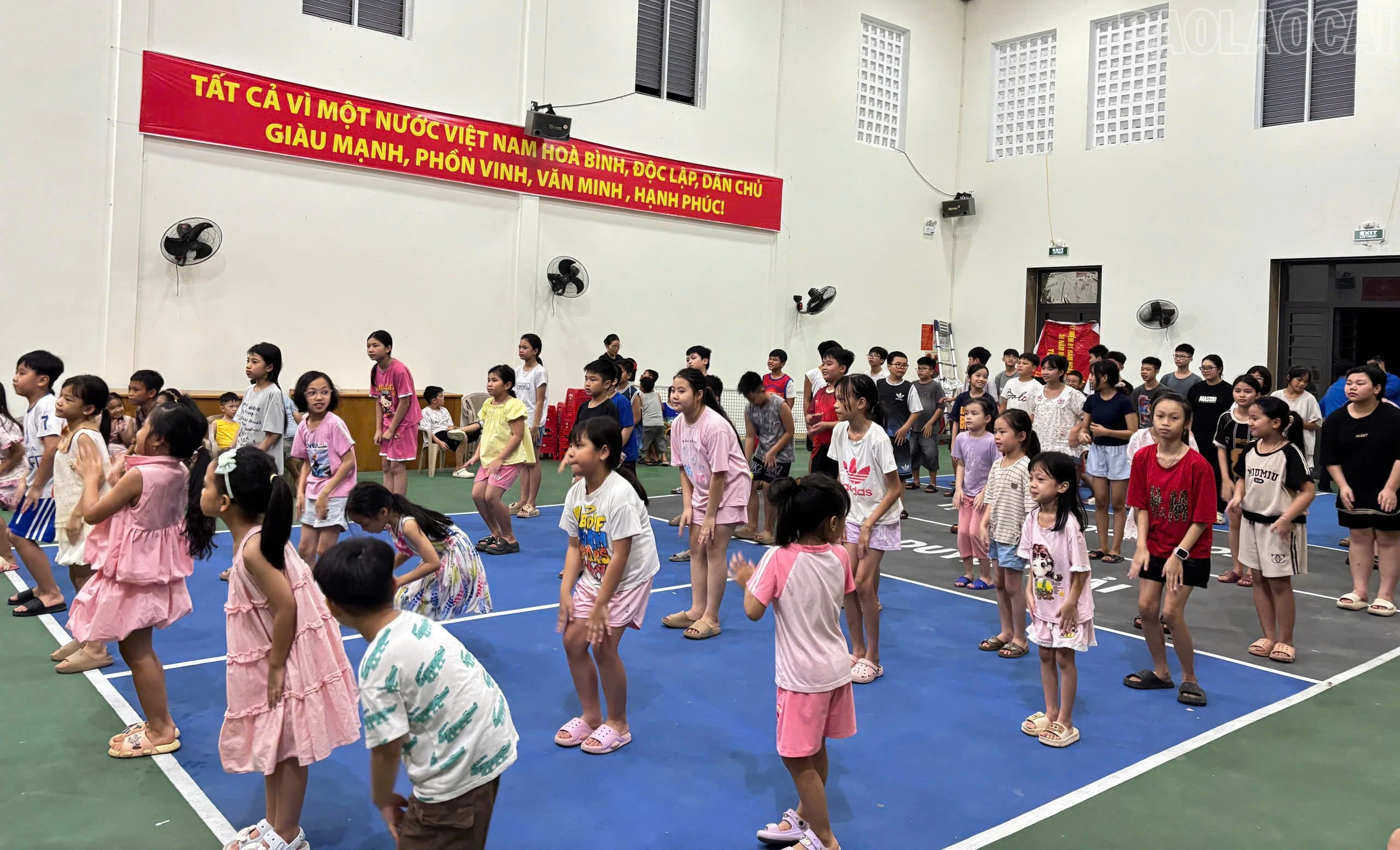 baolaocai-tr_b552c263-4551-4523-890f-6aa96a98cf4e.jpg