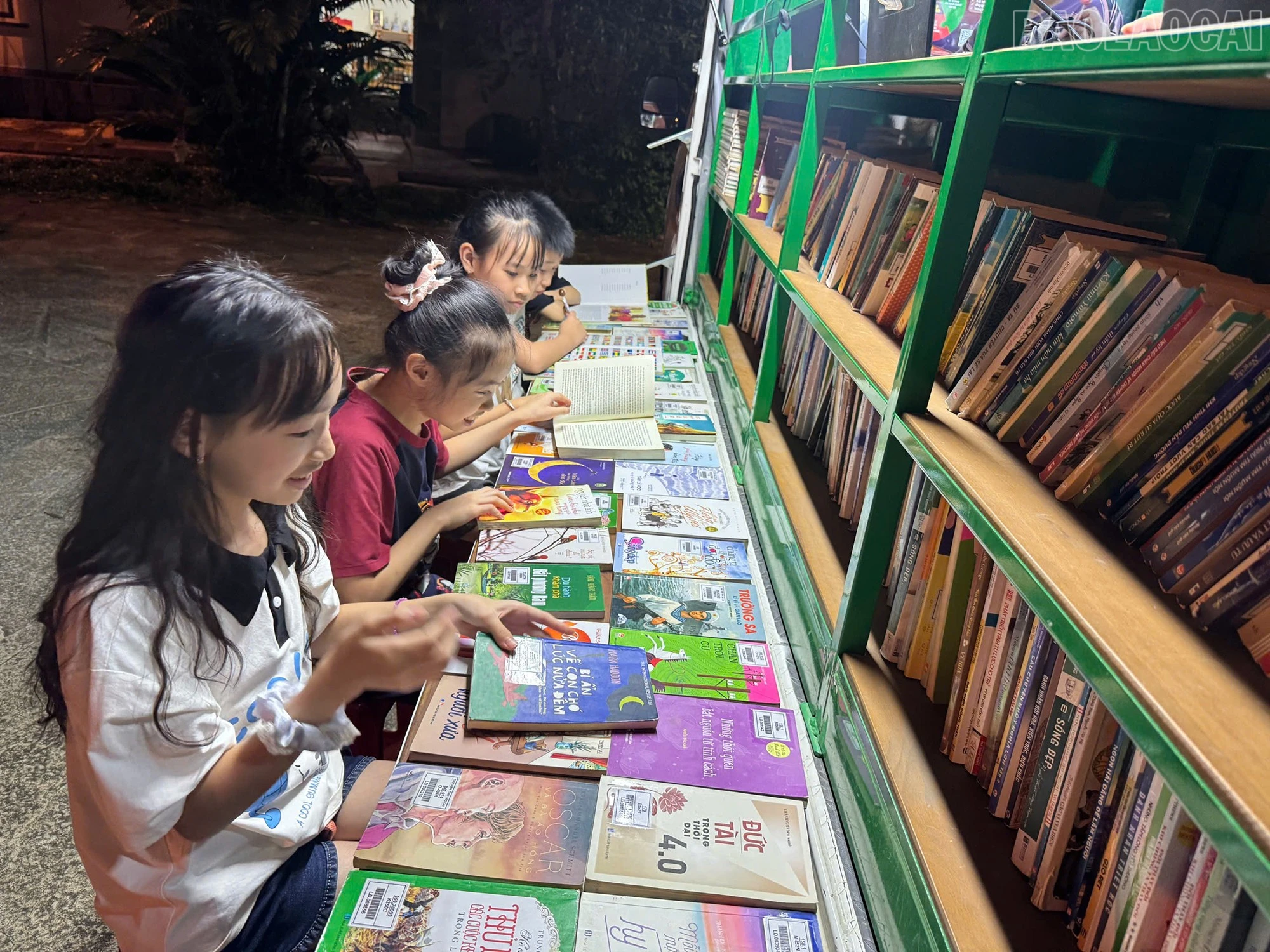baolaocai-tr_b8fdc4e9-717d-4309-bb5b-82865d681bd4.jpg