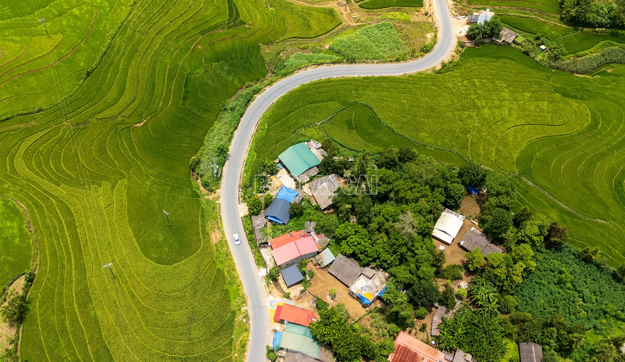 baolaocai-c_dji-20260723131111-0149-d.jpg