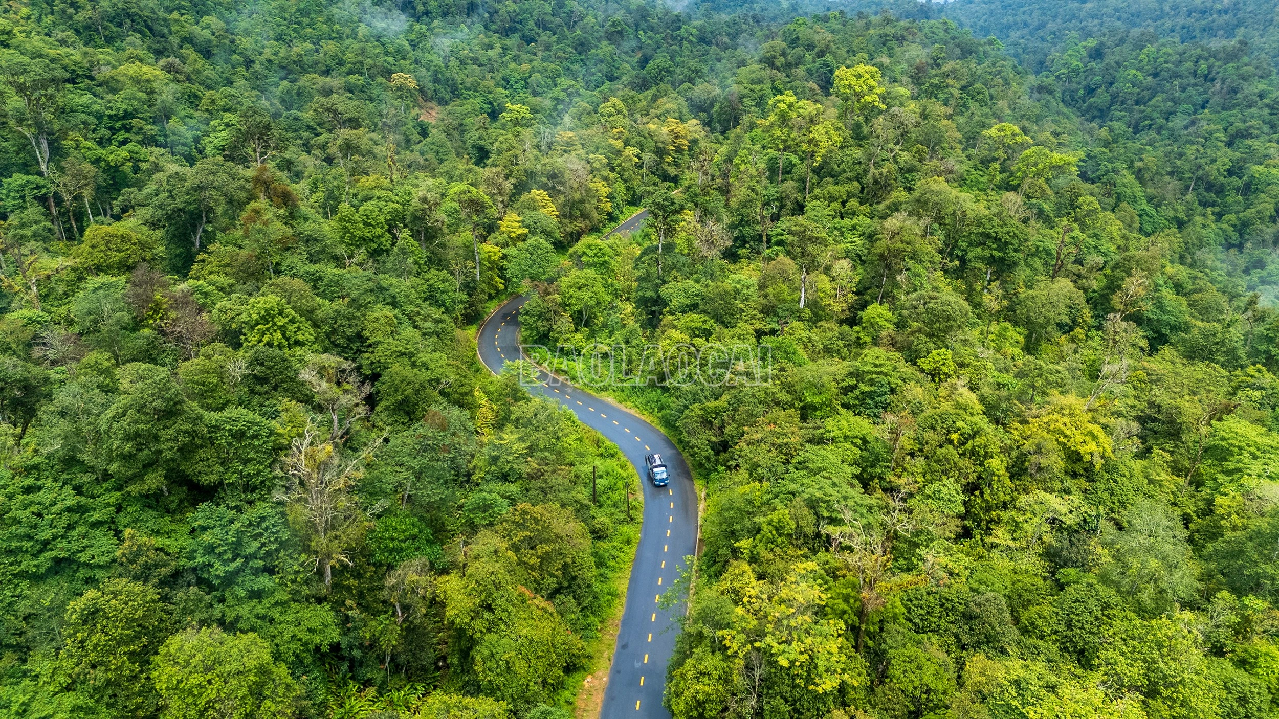 baolaocai-c_dji-20260723143111-0171-d.jpg