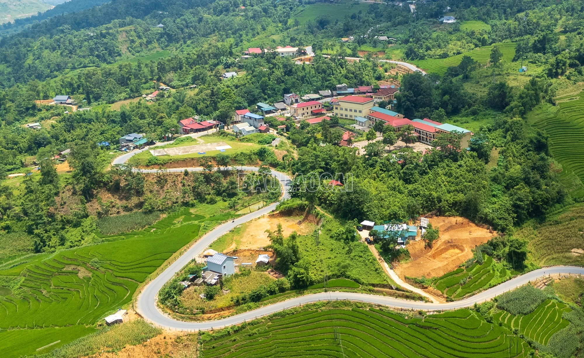 baolaocai-c_dji-20260723135234-0154-d.jpg