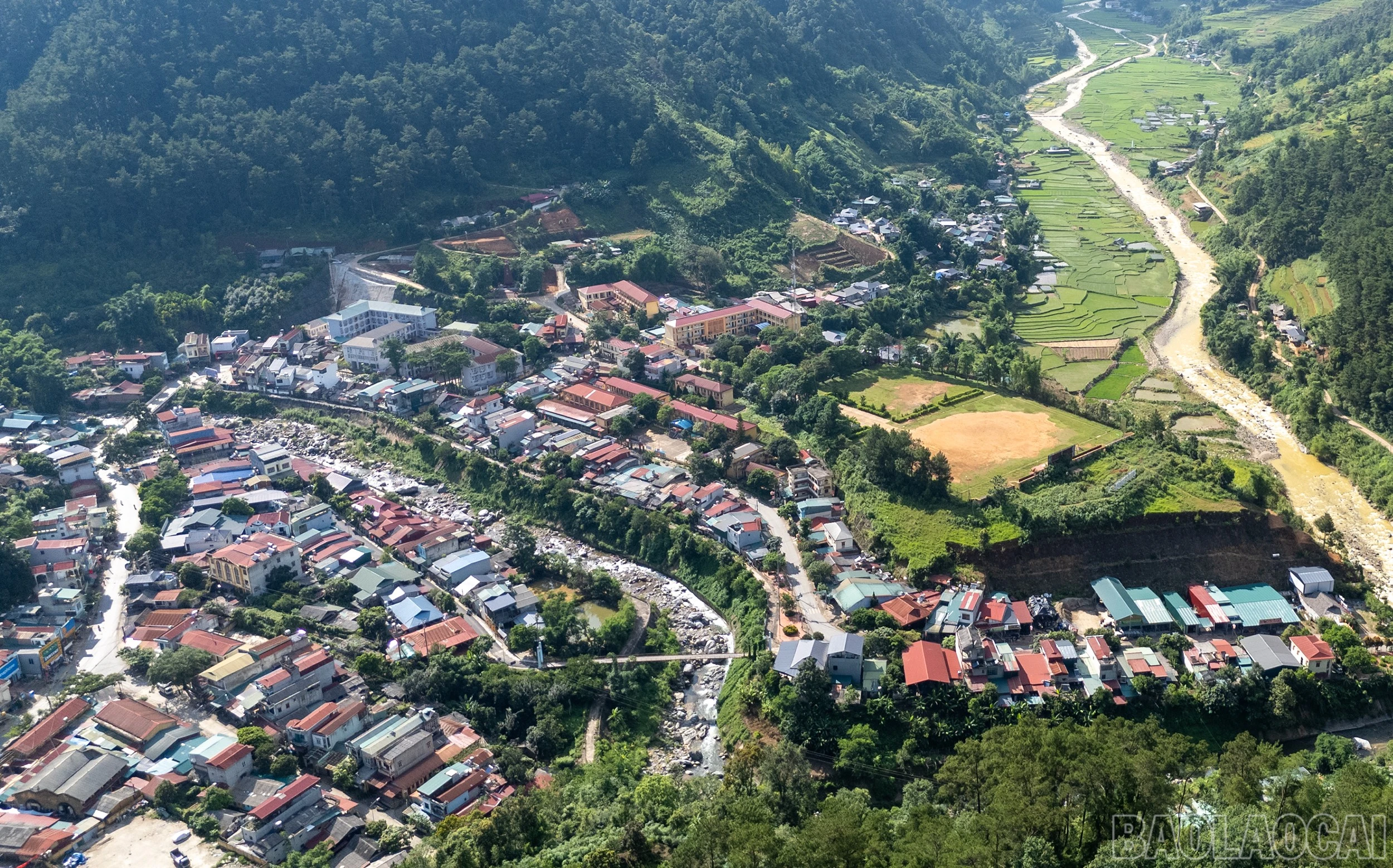 baolaocai-br_09098.jpg