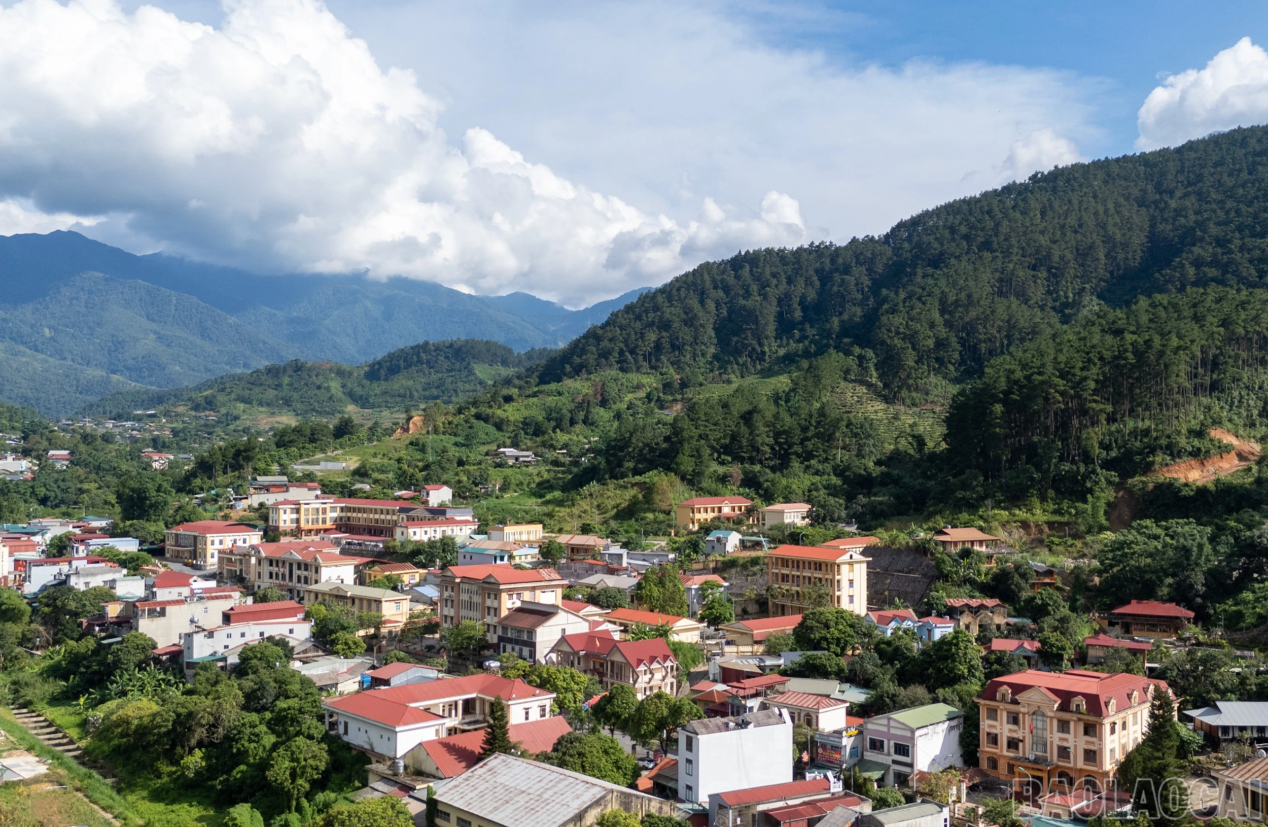 baolaocai-br_dji-20260703165845-0605-d.jpg