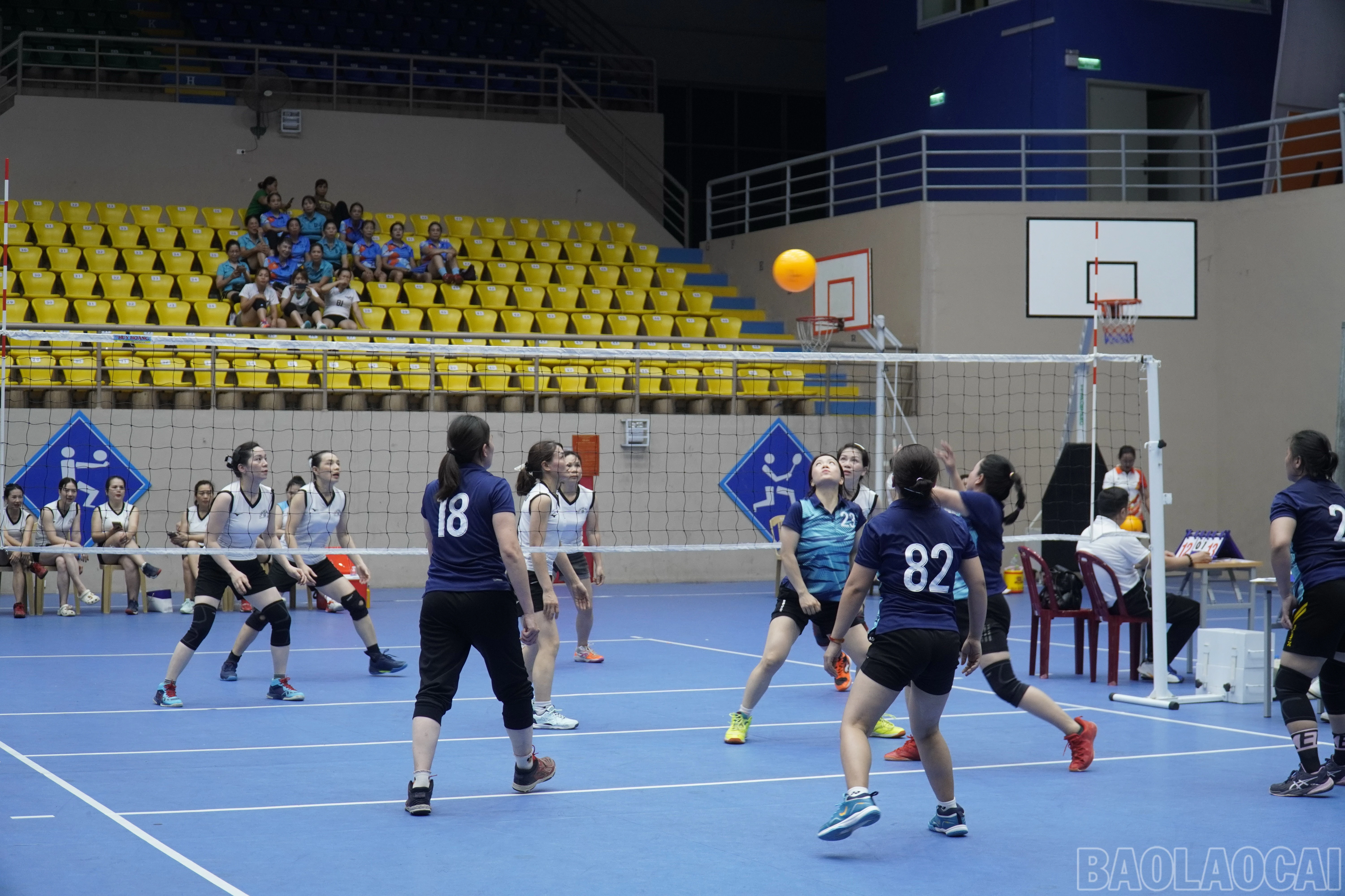 baolaocai-br_dsc2489.jpg
