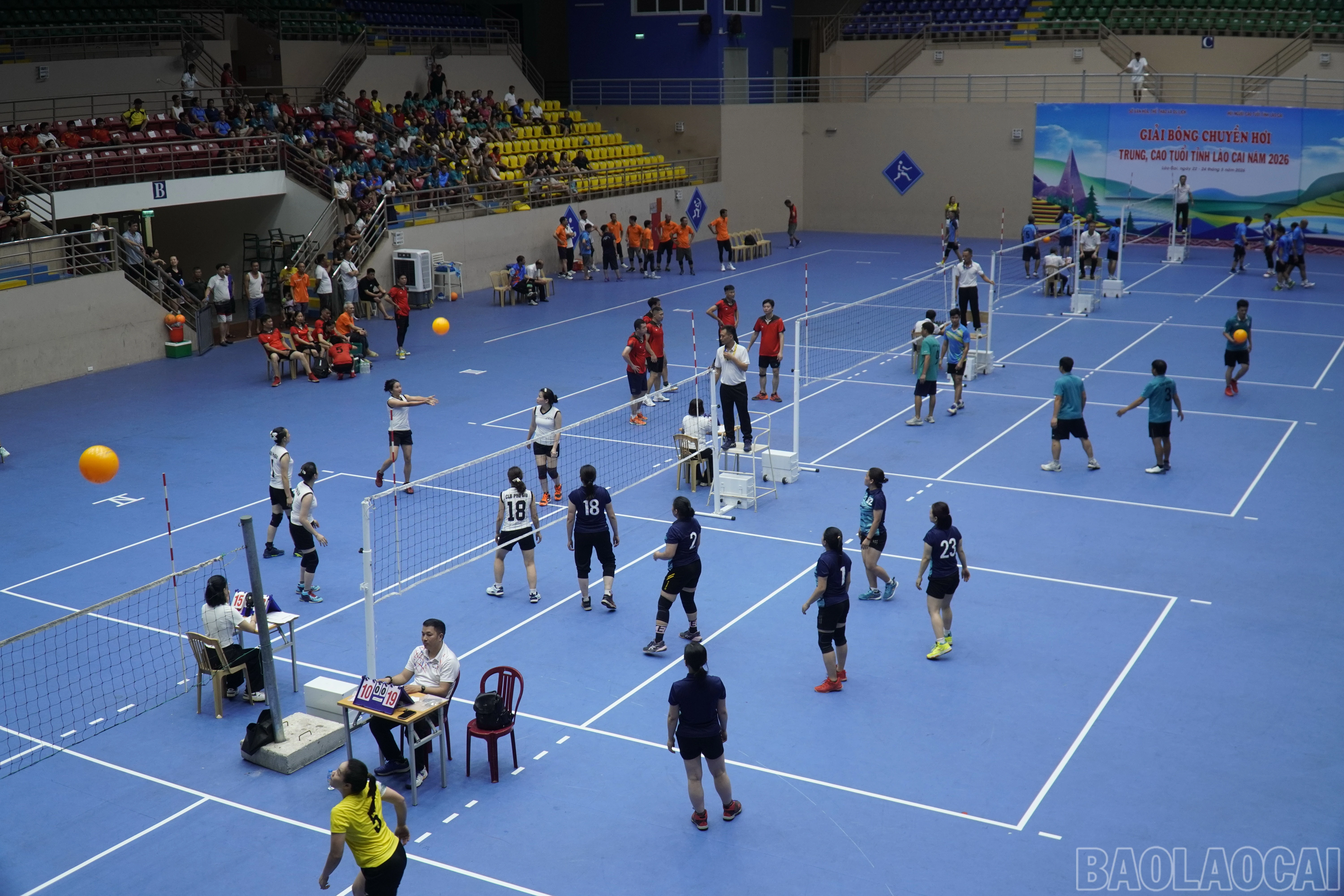 baolaocai-br_dsc2396.jpg