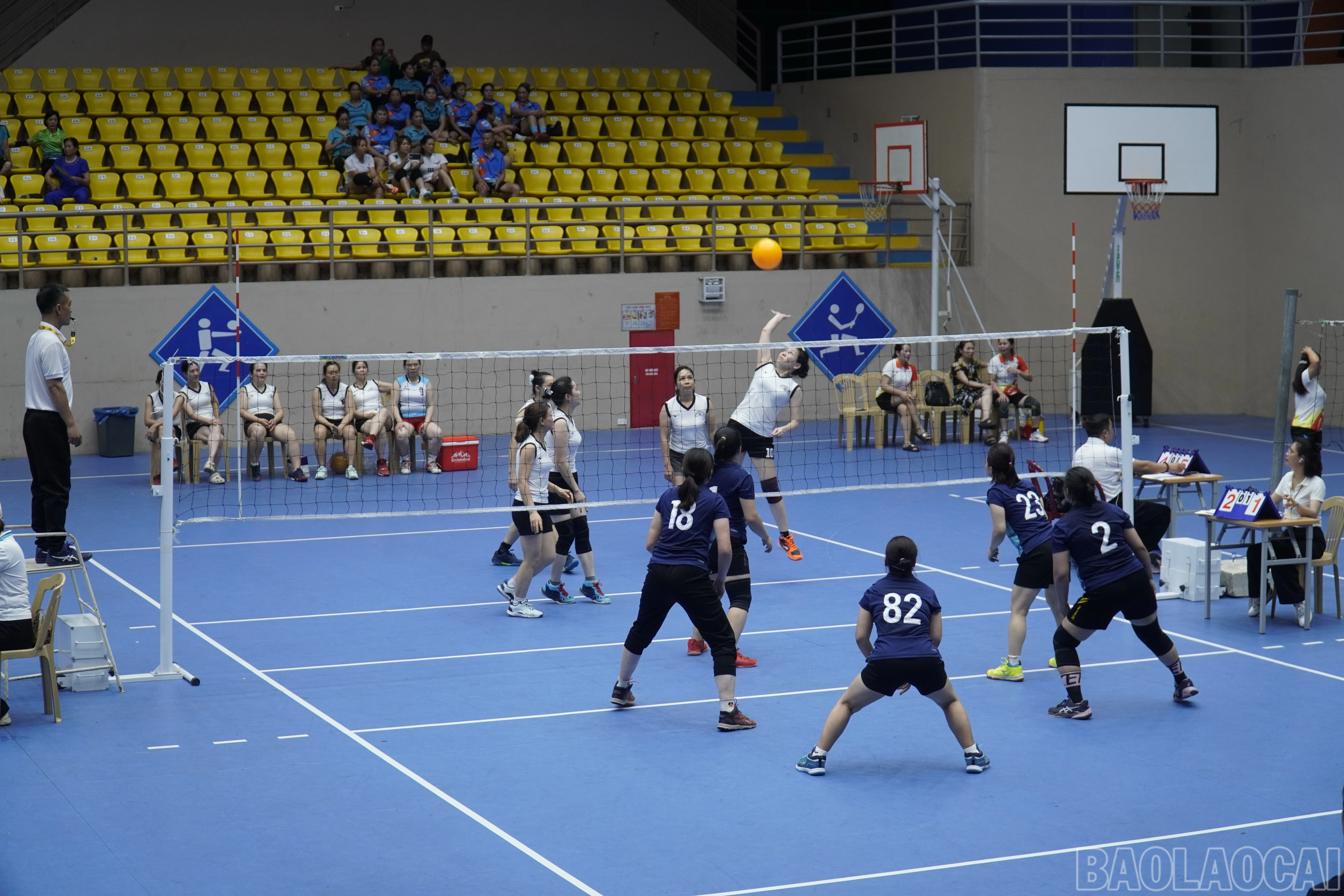 baolaocai-br_dsc2426.jpg