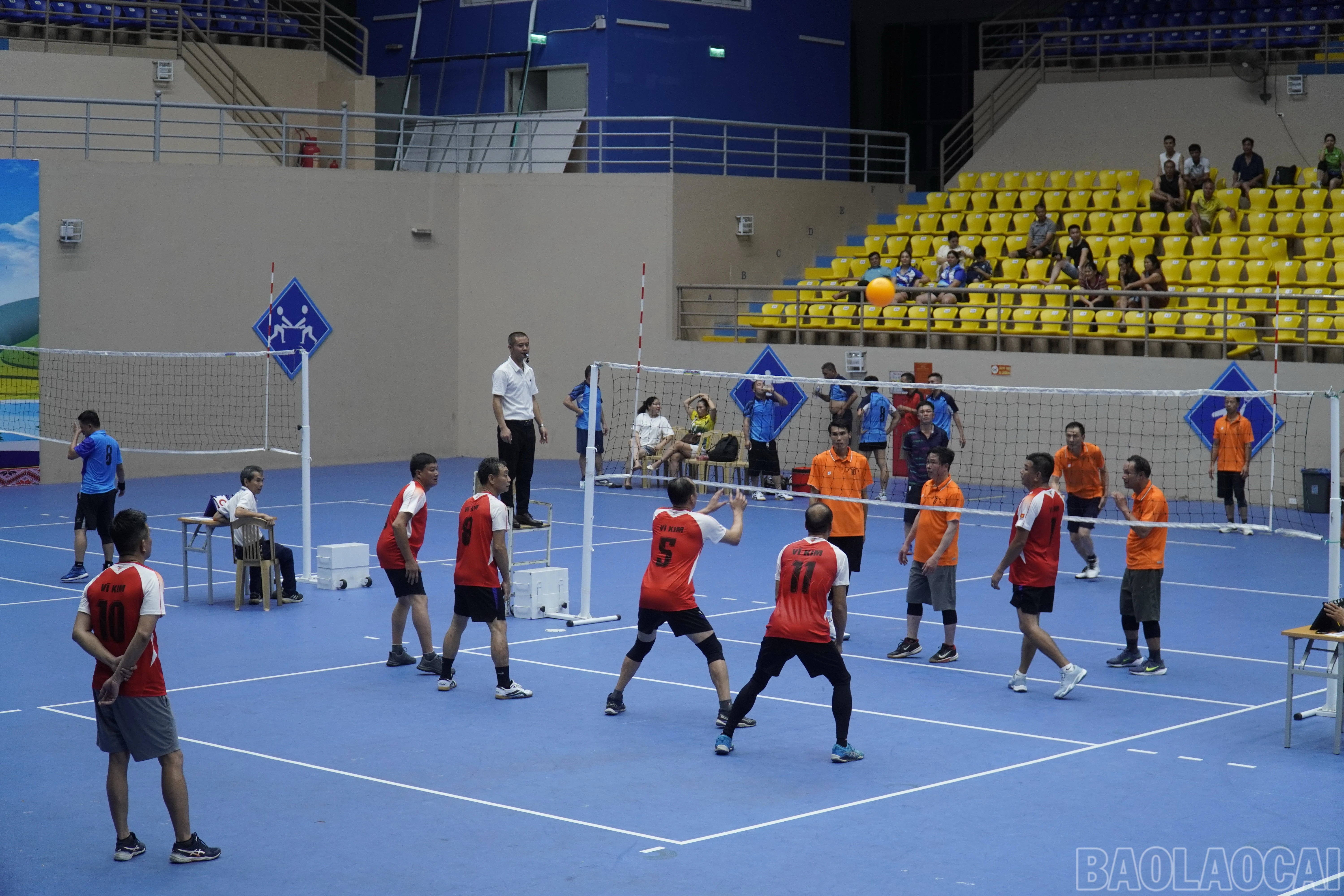 baolaocai-br_dsc2446.jpg