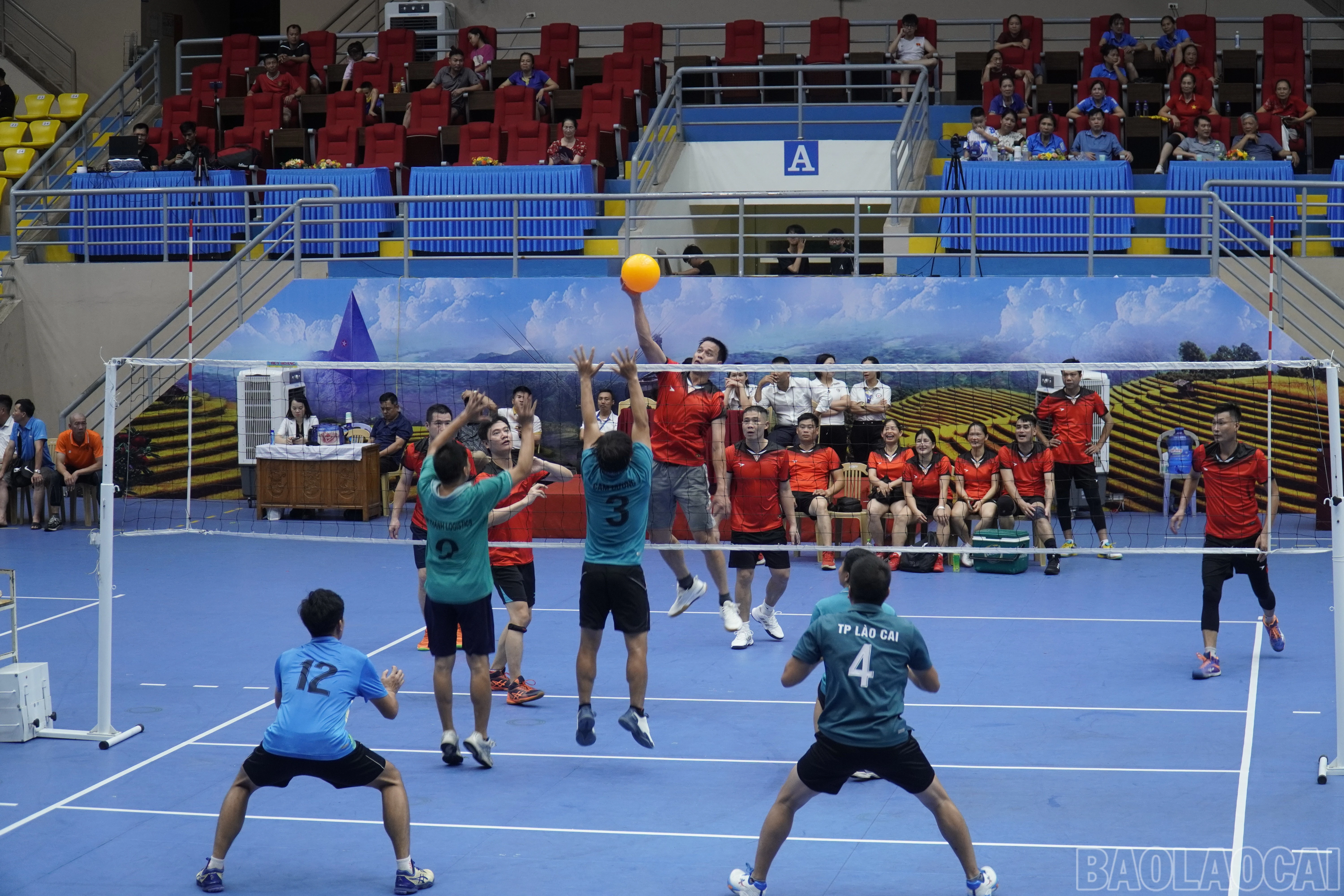 baolaocai-br_dsc2453.jpg