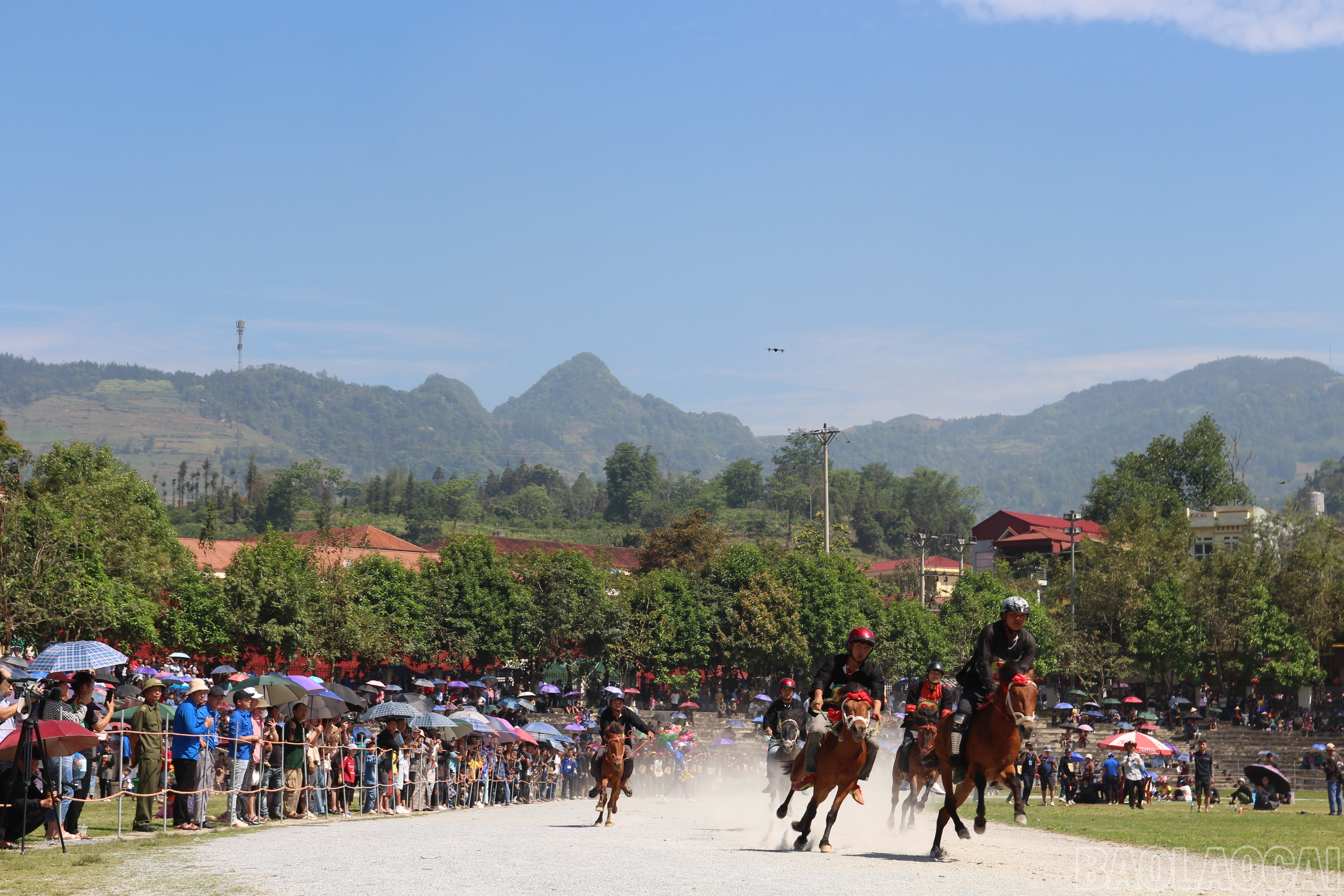 baolaocai-br_img-0978.jpg