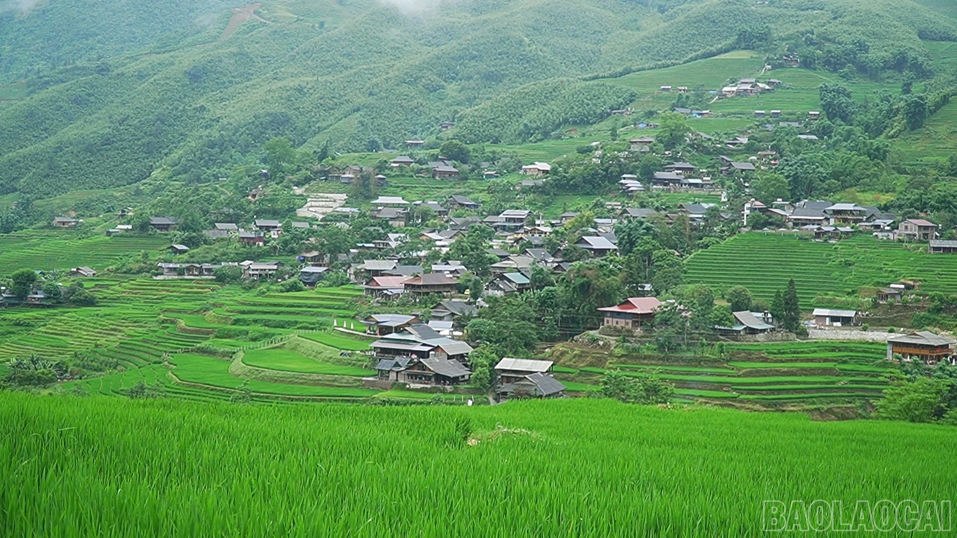 baolaocai-br_sequence-0101-45-19-19still126.jpg