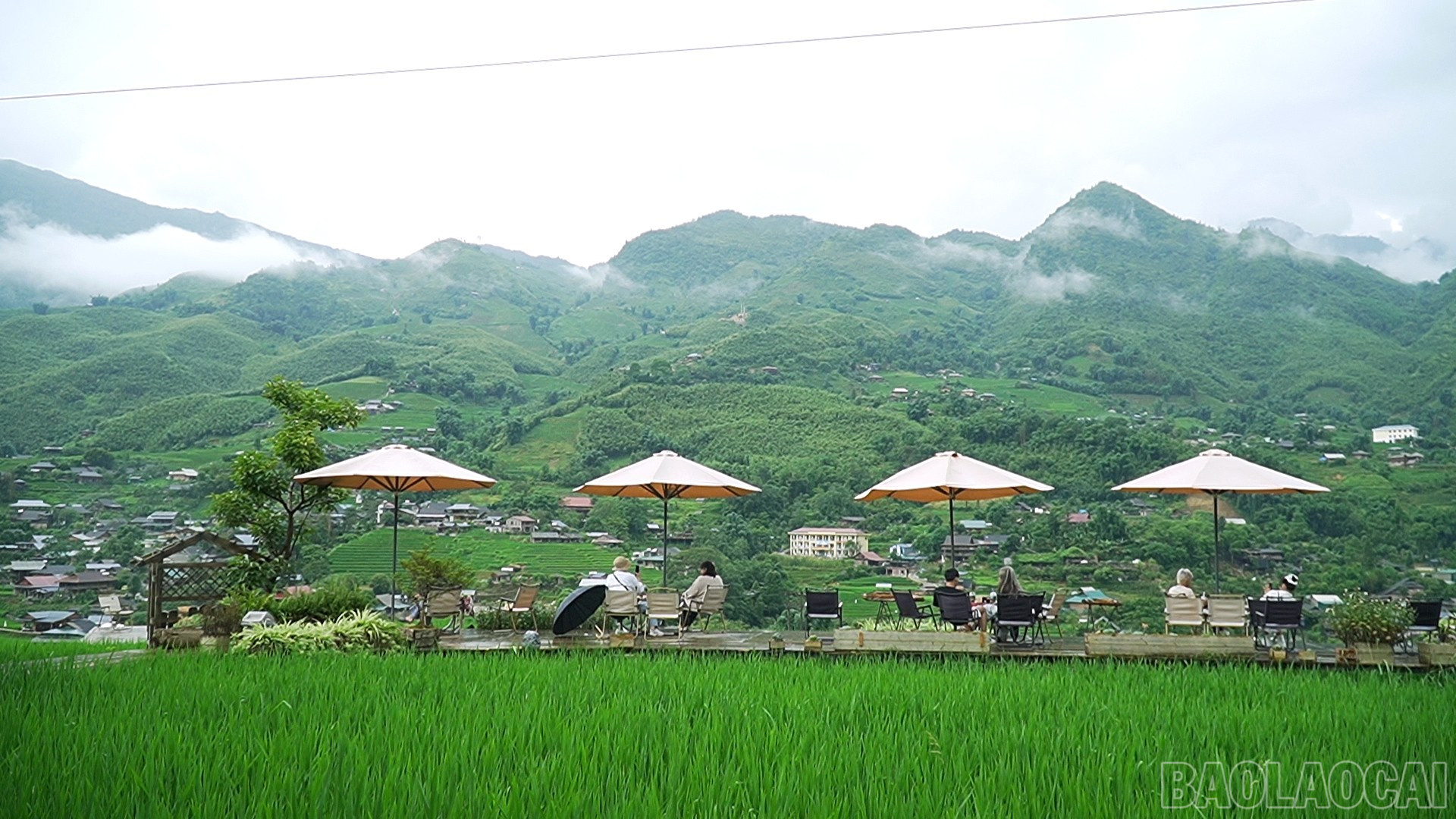 Những quán cà phê gần gũi với thiên nhiên được du khách yêu thích baolaocai-br_sequence-0101-45-02-15still118.jpg
