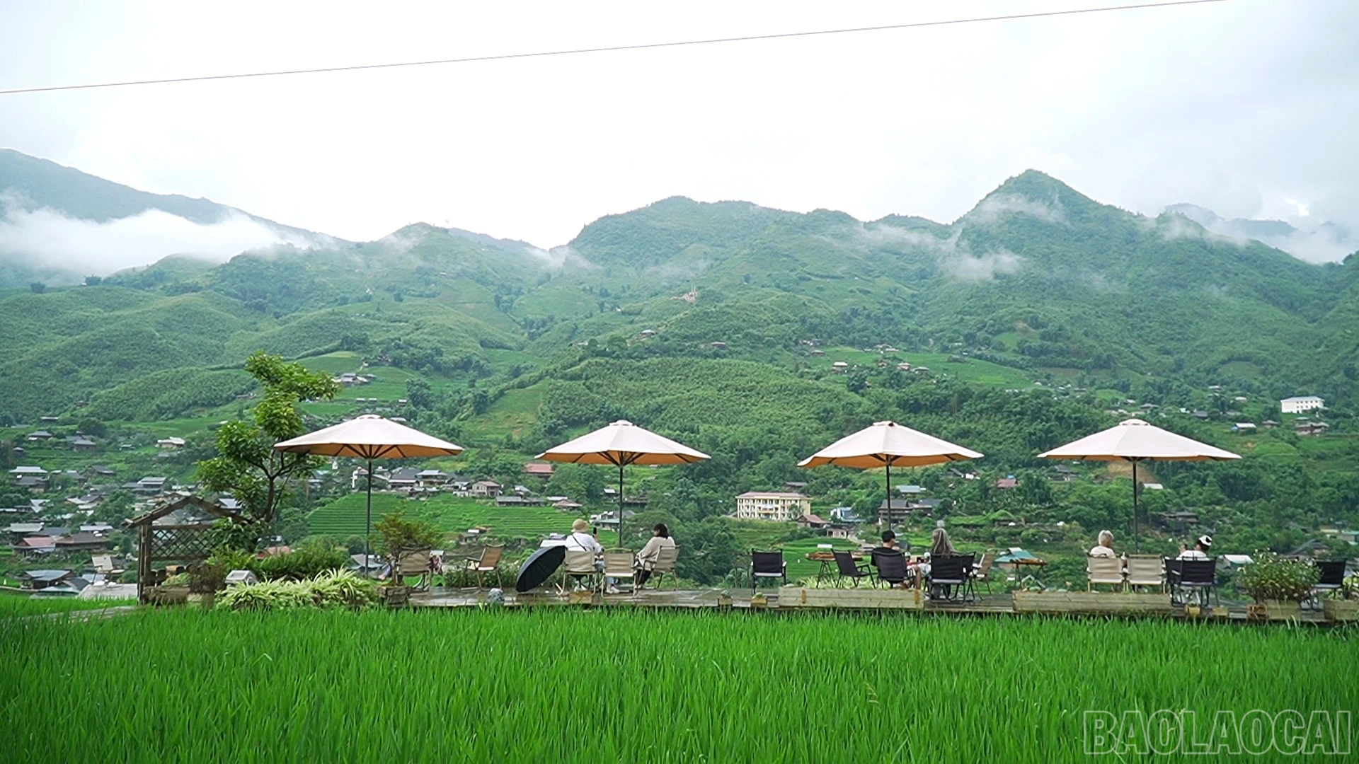 baolaocai-br_sequence-0101-45-02-15still118.jpg