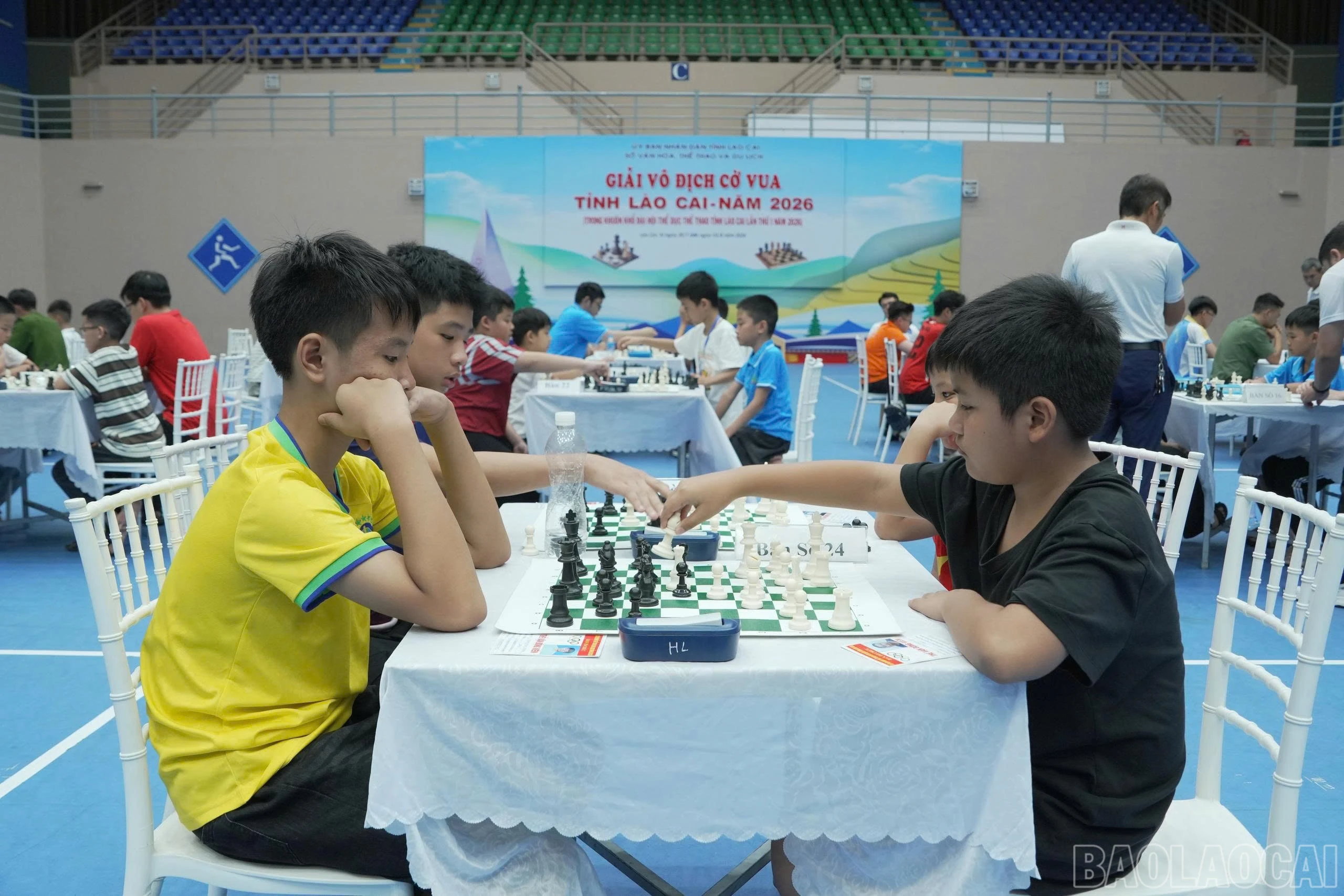 baolaocai-br_1785503848554-5762833154103156904-5762833154103156904-5f88d9f58943324571c8f8da405501e4.jpg