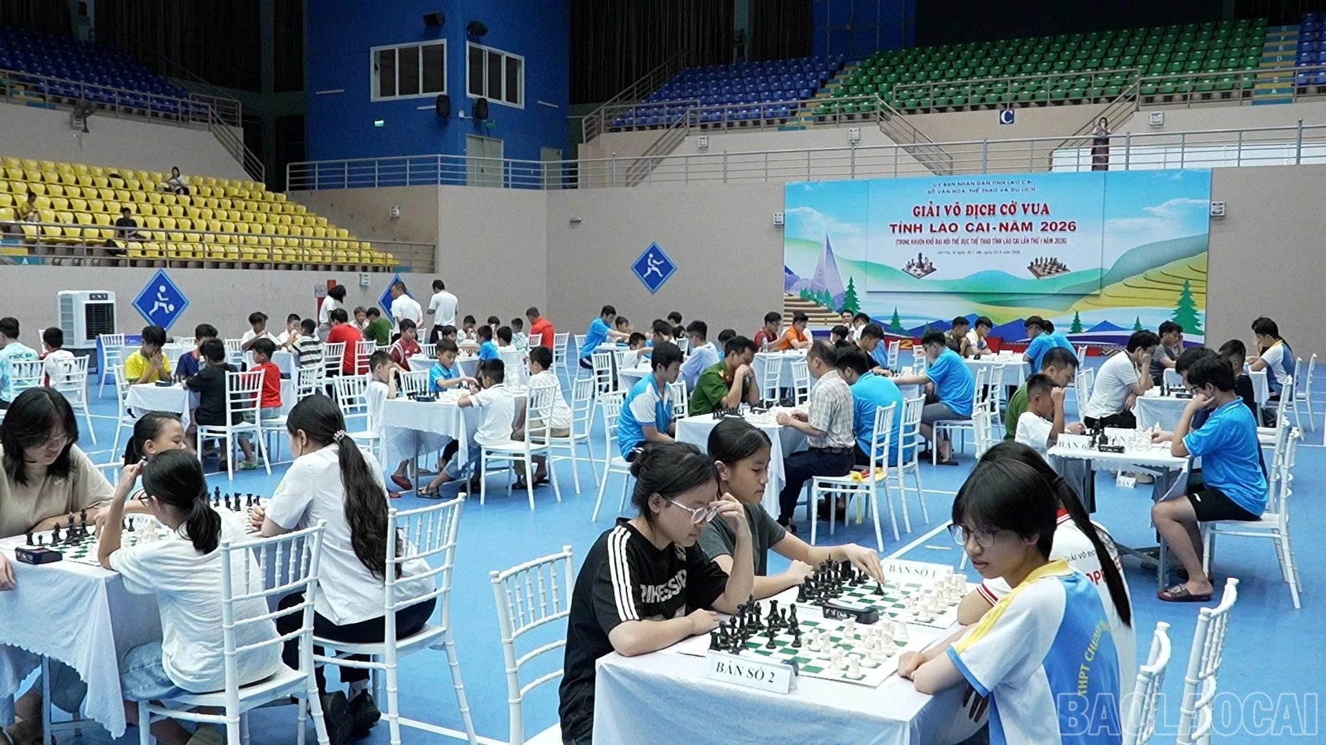 baolaocai-br_1785504160774-5762833154103156904-5762833154103156904-c97bff8d3d12a126db78ef6a77283dfe.jpg