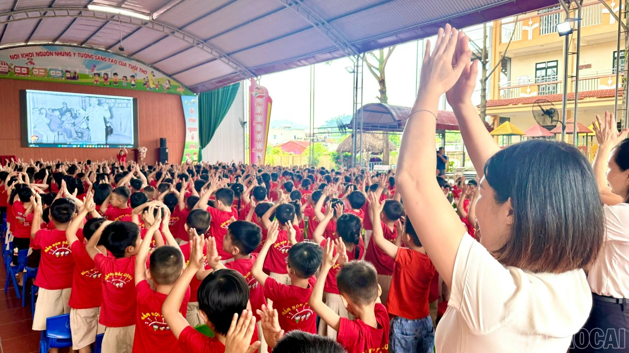 baolaocai-br_z7841278934259-09f01a731425cb83c93fc5533721bb85.jpg
