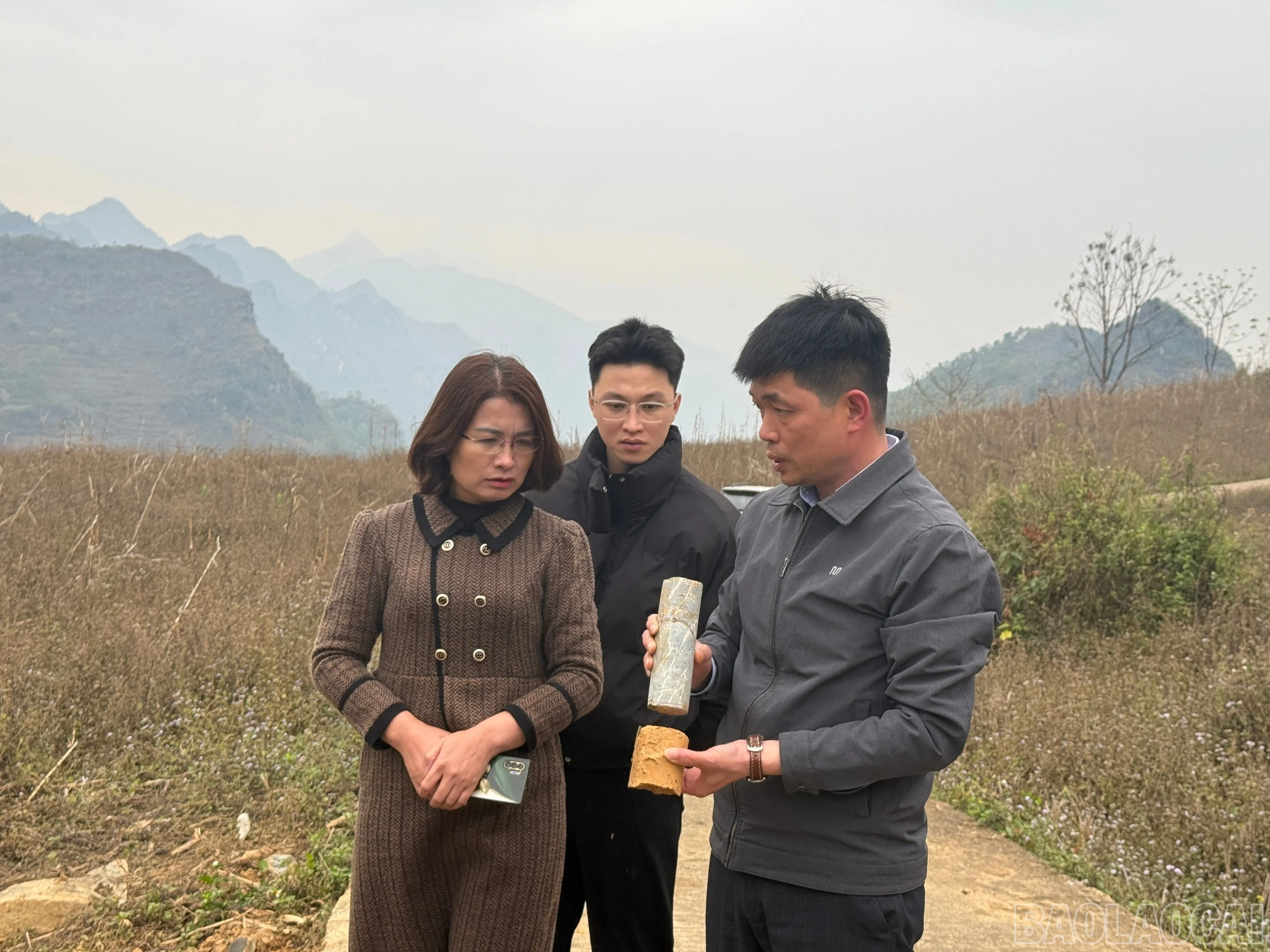 baolaocai-br_z7674613151776-cce27ee0cc729efcebef06ea383b5f16.jpg