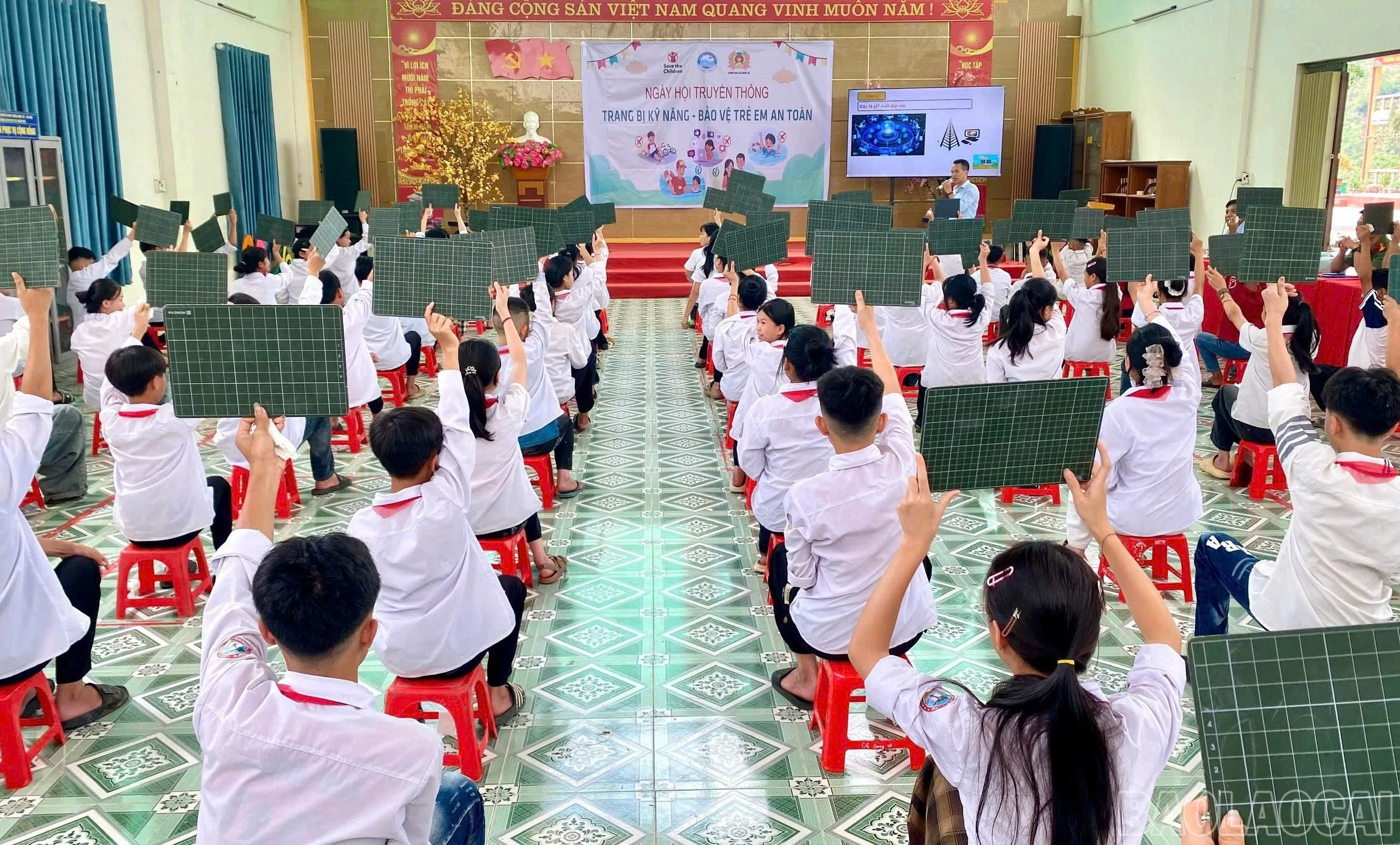 baolaocai-br_1779457192432-1990624821983247676-4362648308235759895-3da85e89d961407e7c20eb710f5070b4.jpg